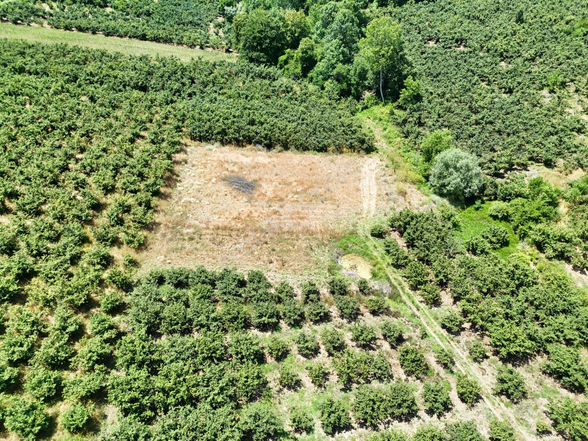 Emlak Evim - Kayacık Köyünün Yanında 350 M2 Tarla - Görsel 13