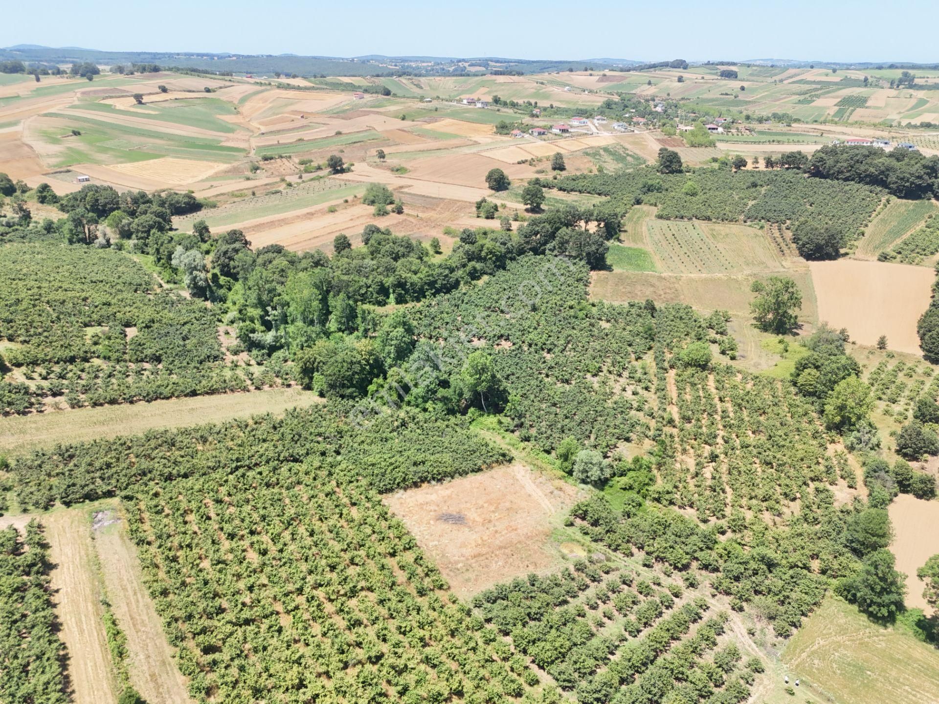 Emlak Evim - Kayacık Köyünün Yanında 350 M2 Tarla - Görsel 28