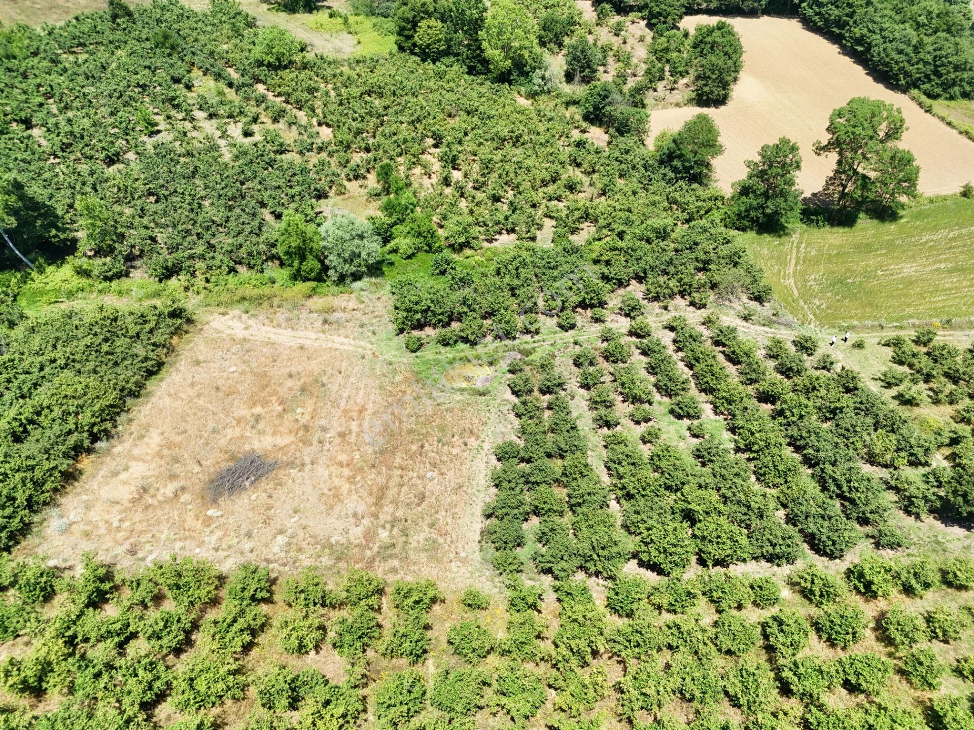 Emlak Evim - Kayacık Köyünün Yanında 350 M2 Tarla - Görsel 10