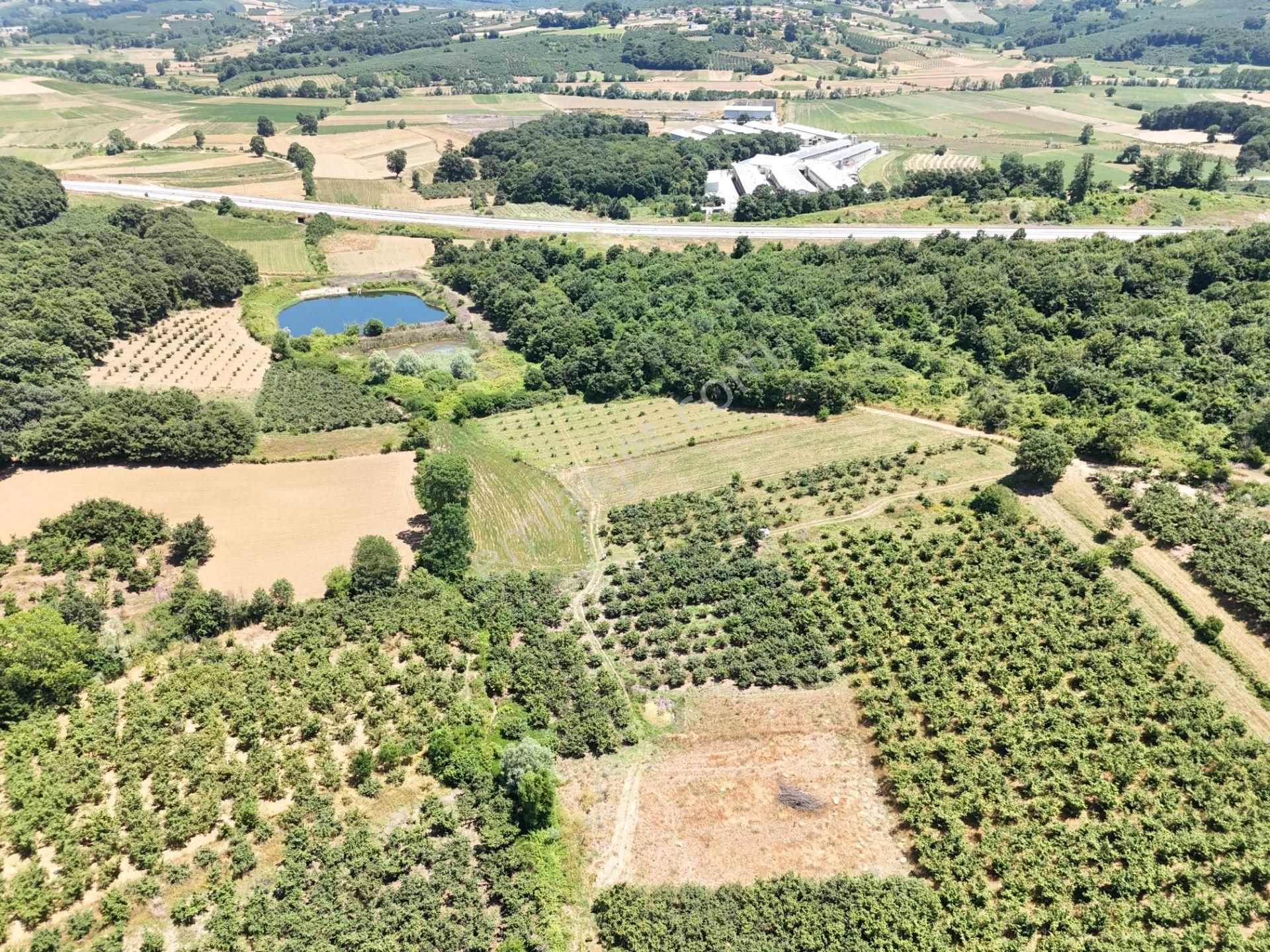 Emlak Evim - Kayacık Köyünün Yanında 350 M2 Tarla - Görsel 23