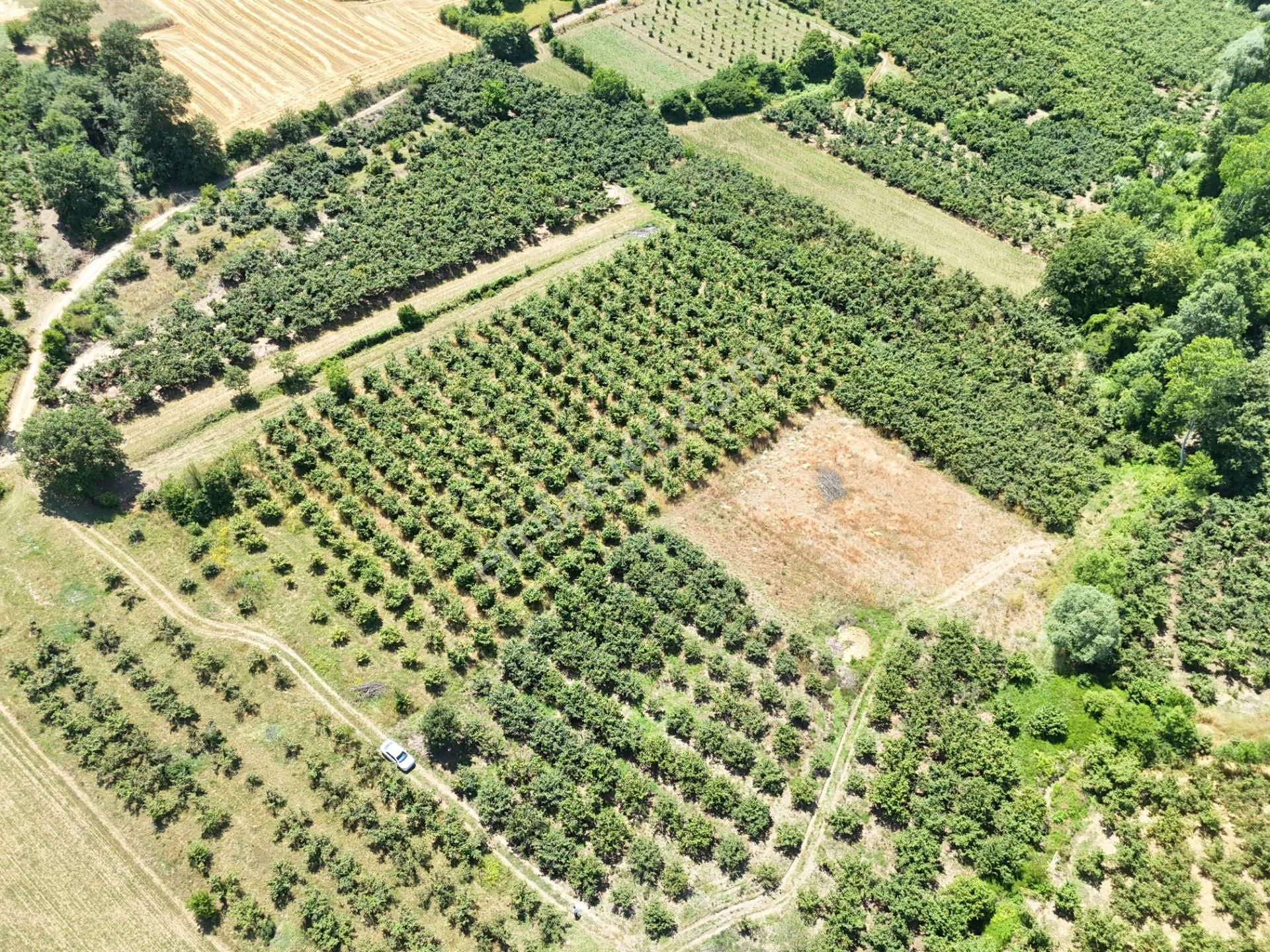 Emlak Evim - Kayacık Köyünün Yanında 350 M2 Tarla - Görsel 31