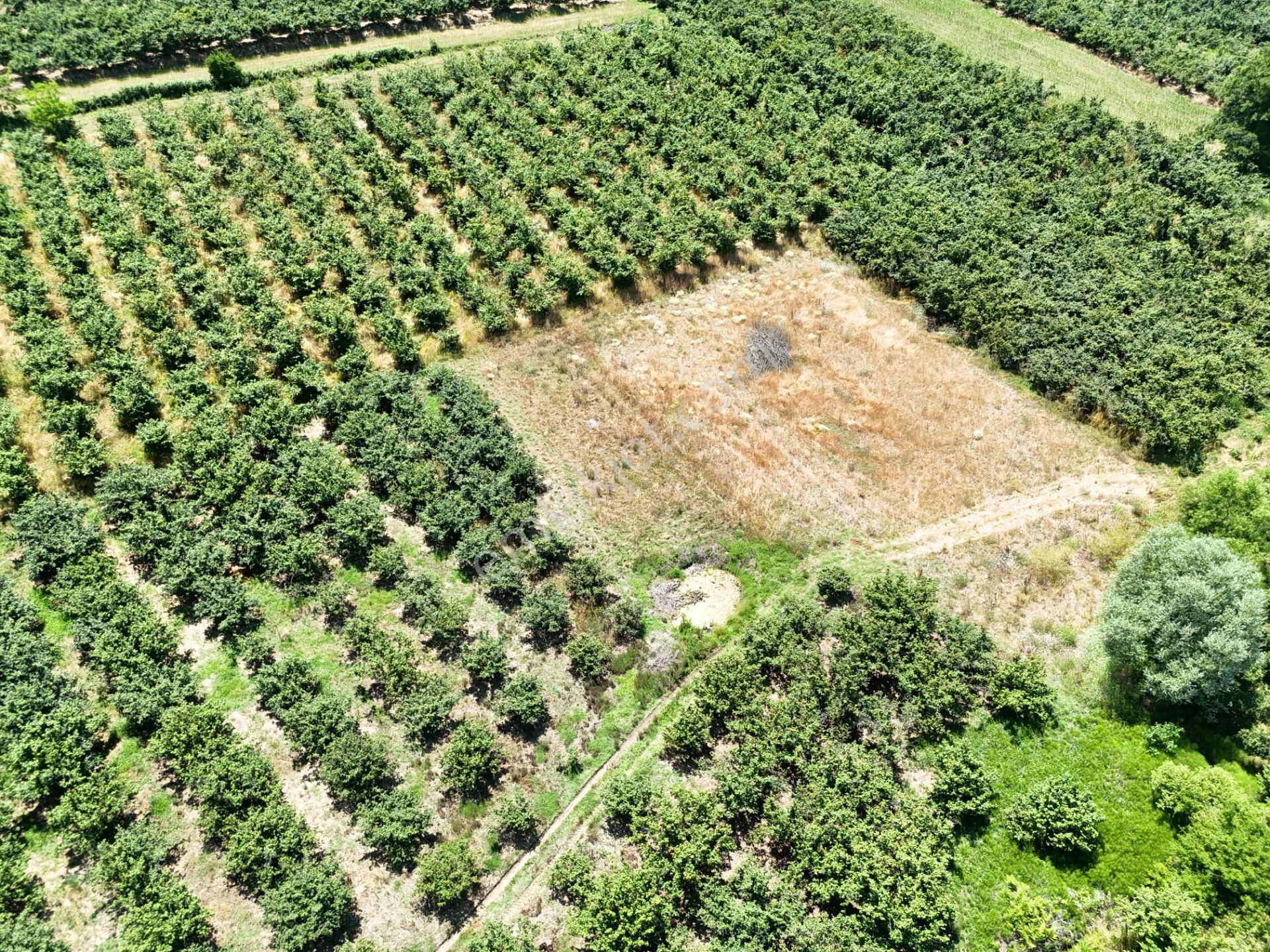 Emlak Evim - Kayacık Köyünün Yanında 350 M2 Tarla - Görsel 14