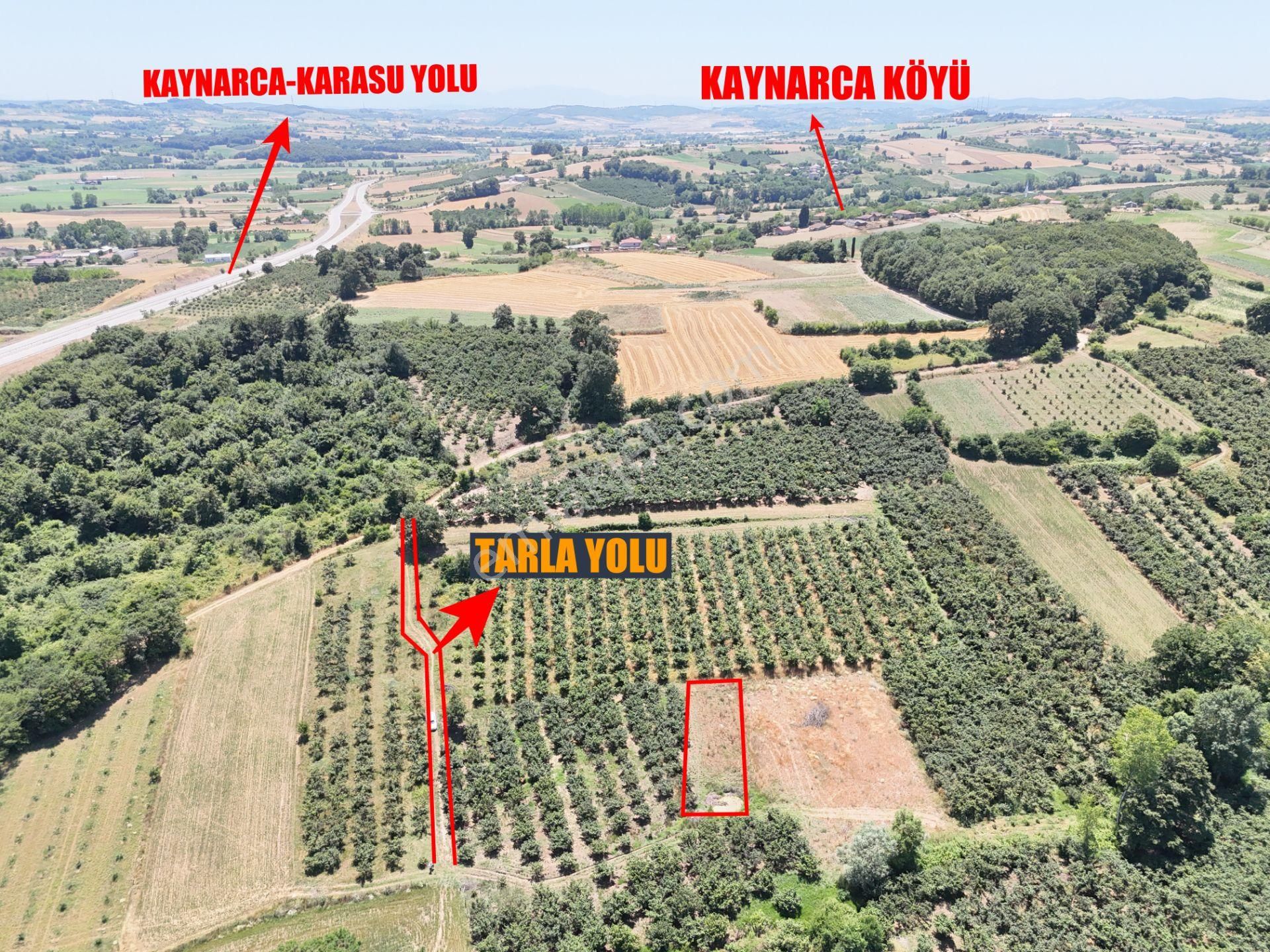 Emlak Evim - Kayacık Köyünün Yanında 350 M2 Tarla - Görsel 20