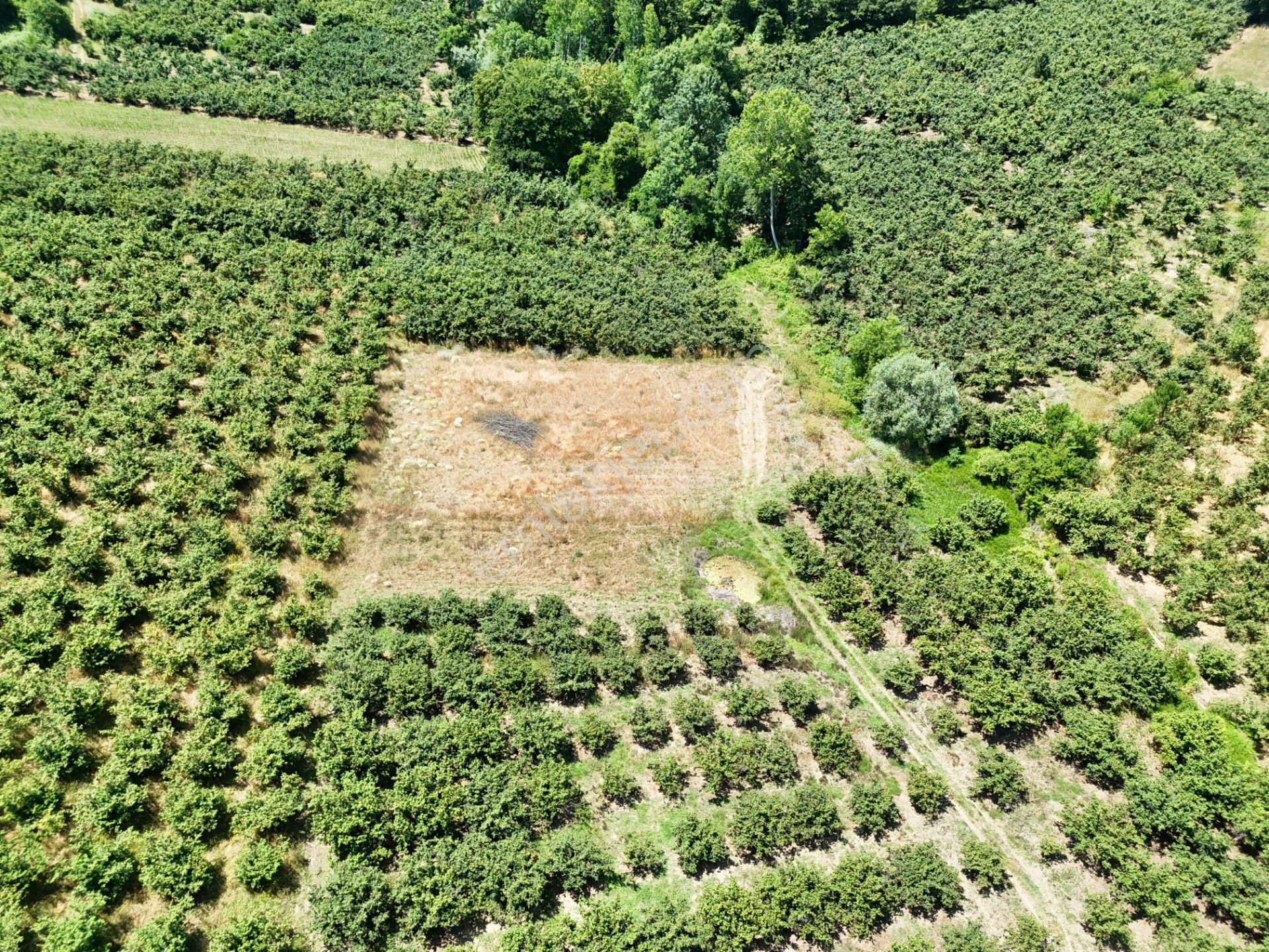 Emlak Evim - Kayacık Köyünün Yanında 350 M2 Tarla - Görsel 12