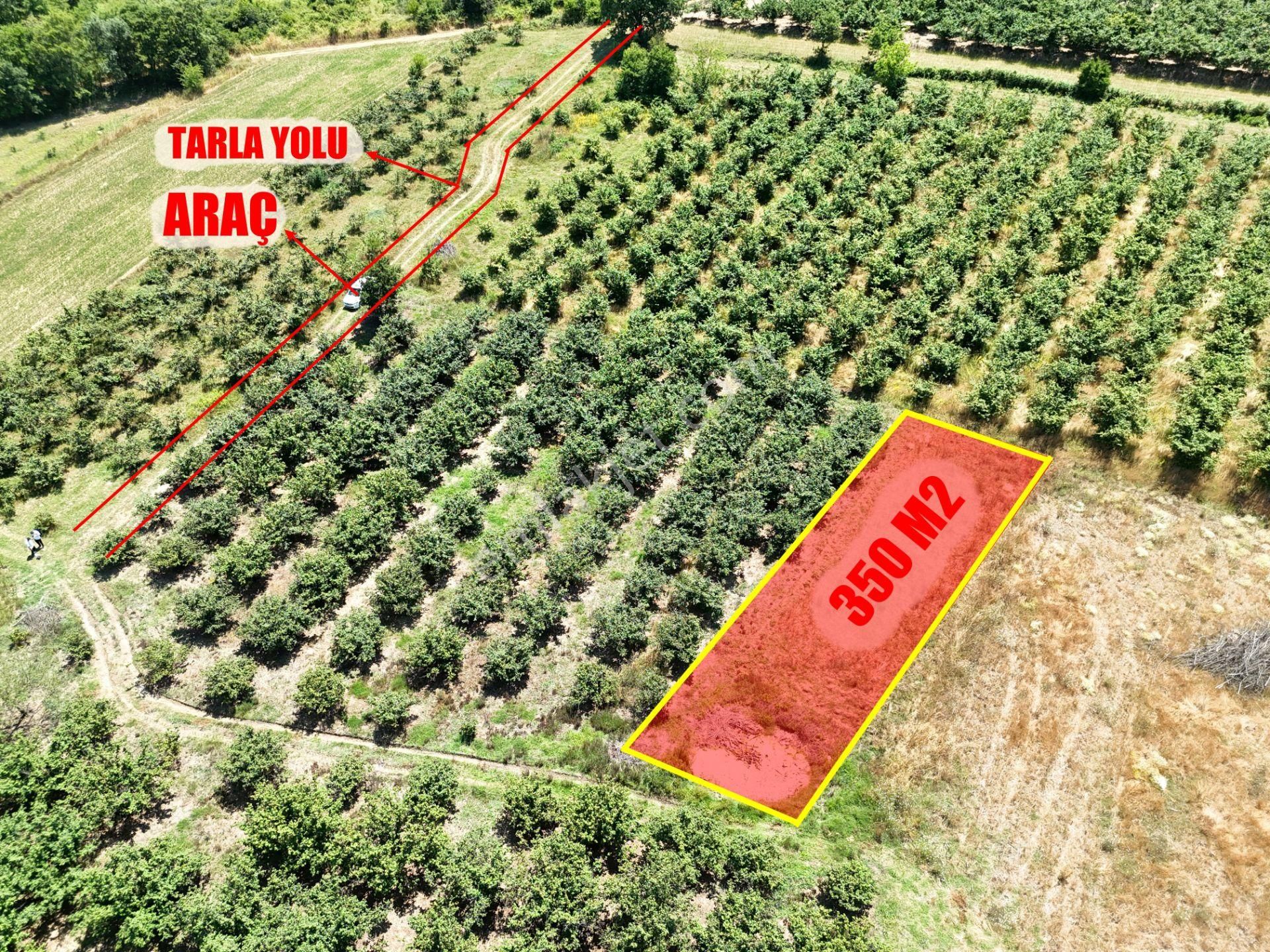 Emlak Evim - Kayacık Köyünün Yanında 350 M2 Tarla - Görsel 5