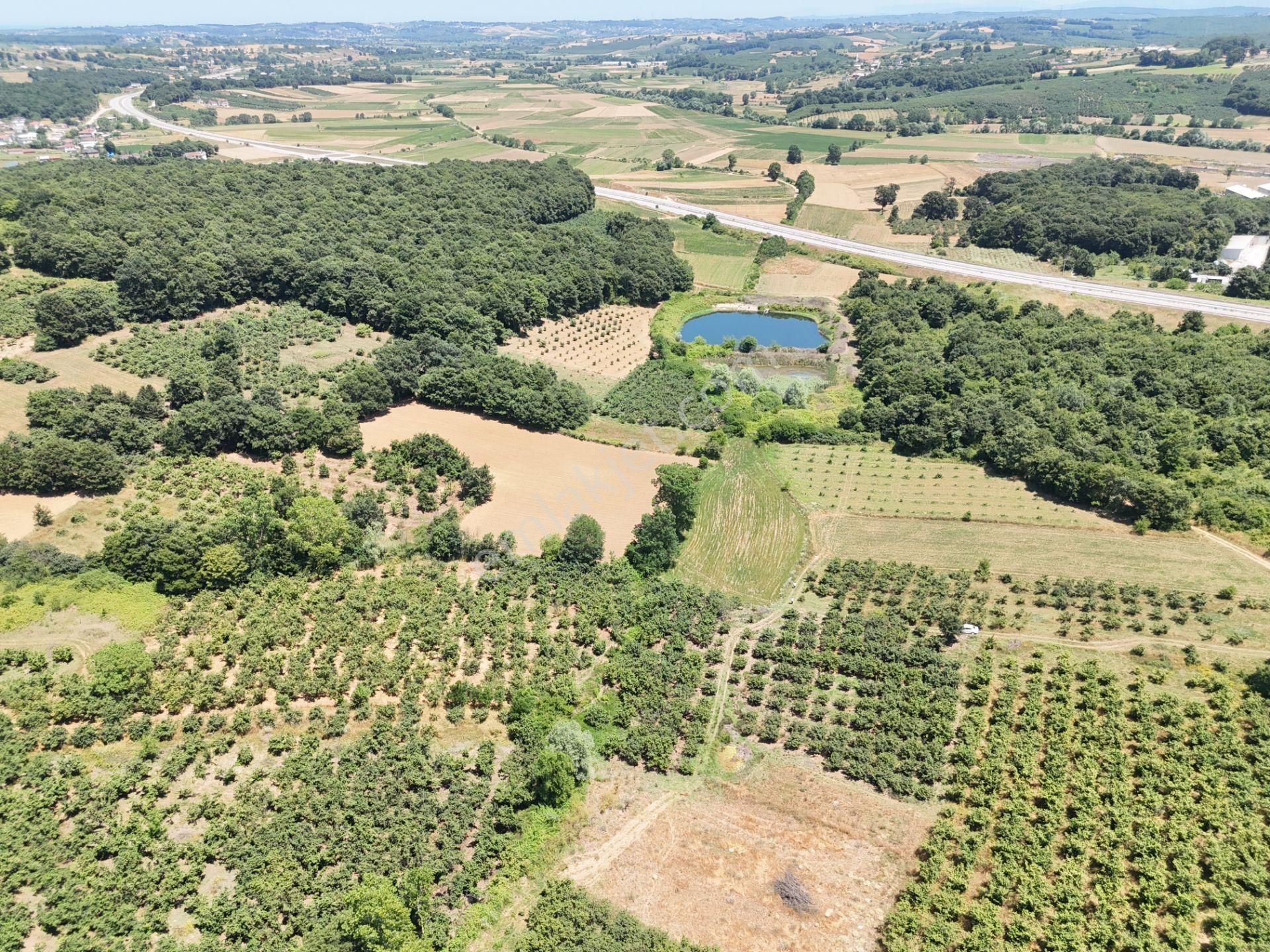 Emlak Evim - Kayacık Köyünün Yanında 350 M2 Tarla - Görsel 24