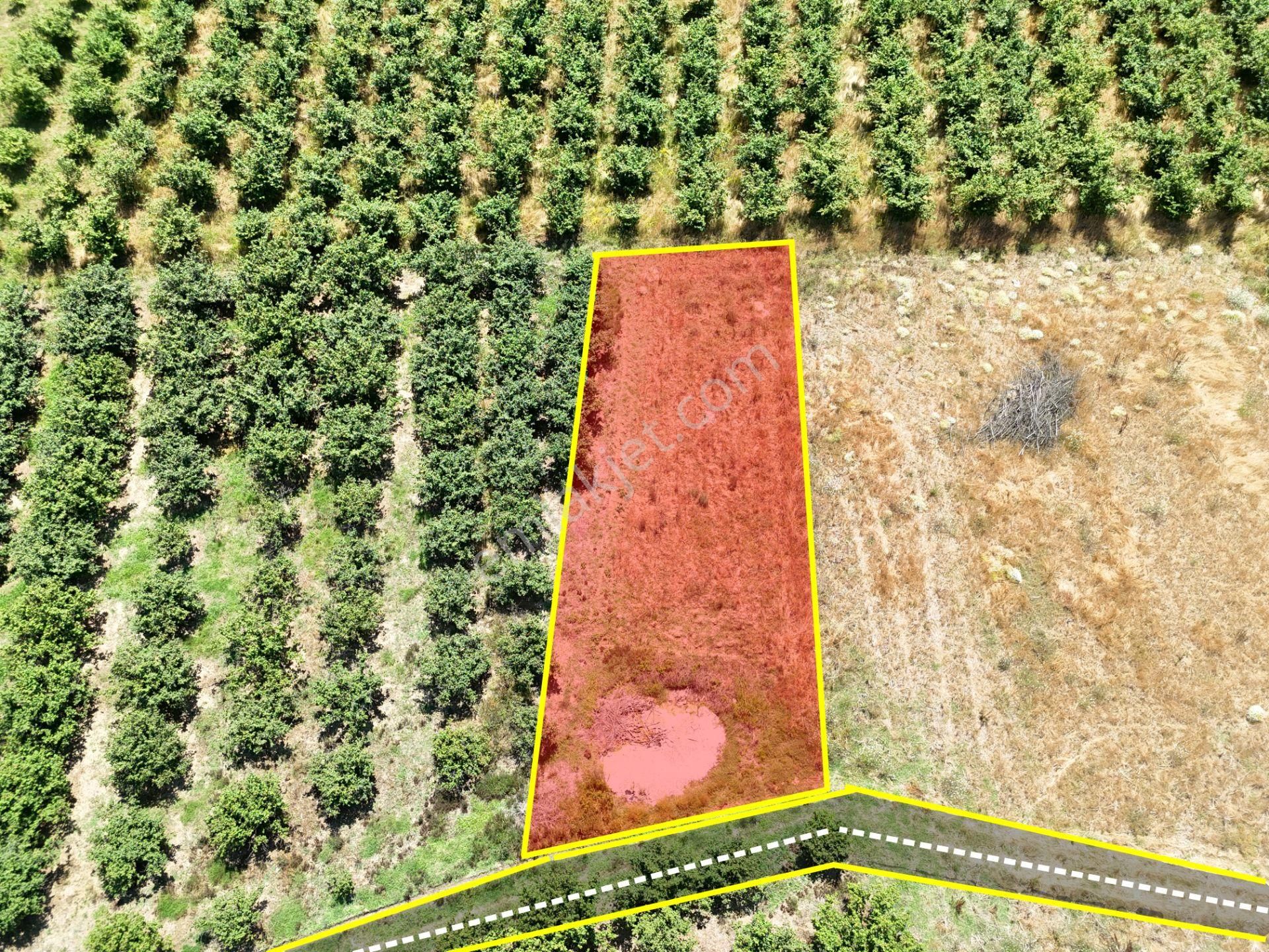 Emlak Evim - Kayacık Köyünün Yanında 350 M2 Tarla - Görsel 2