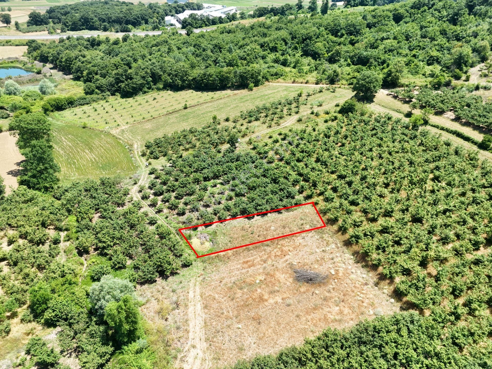 Emlak Evim - Kayacık Köyünün Yanında 350 M2 Tarla - Görsel 8