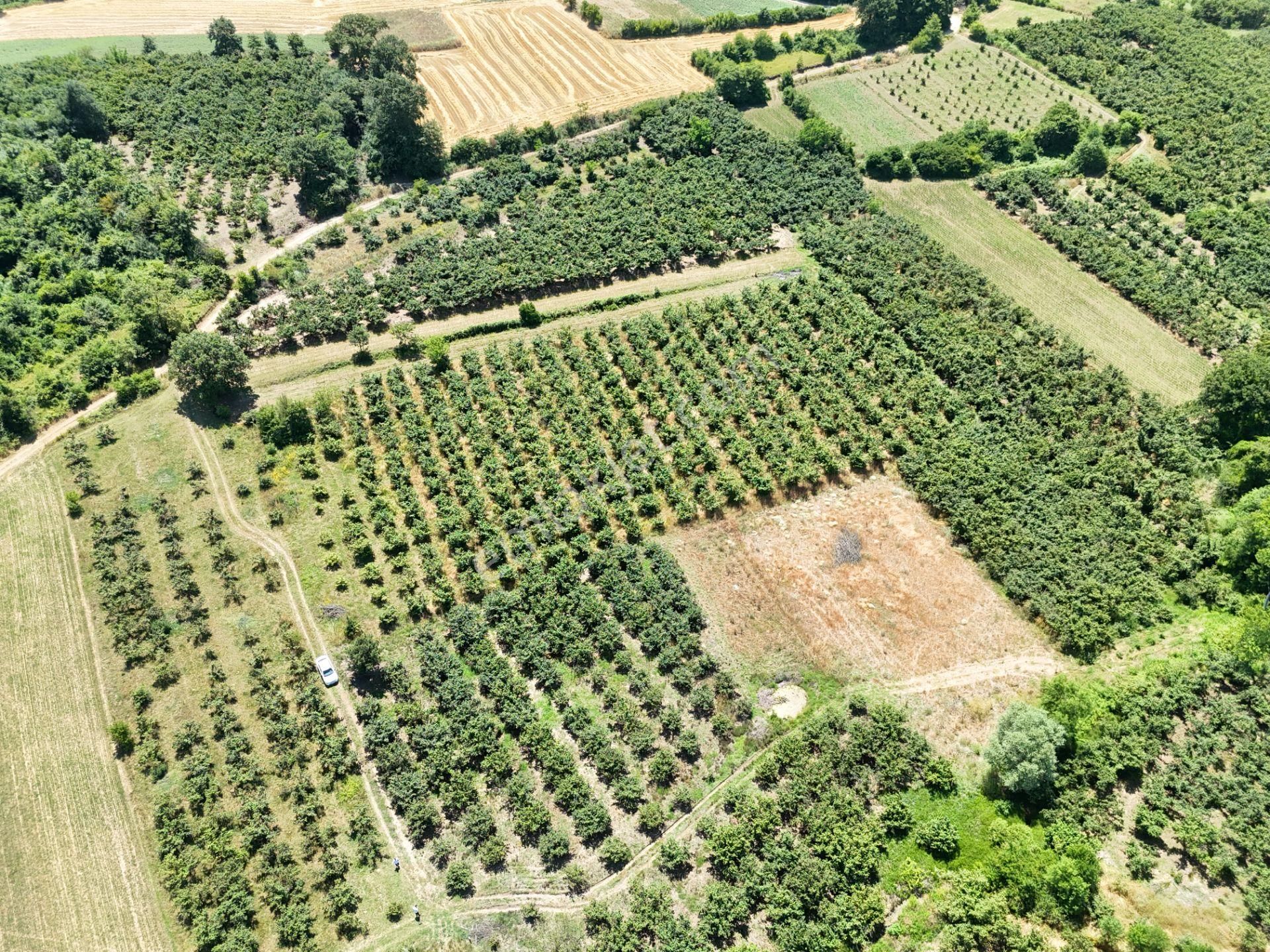 Emlak Evim - Kayacık Köyünün Yanında 350 M2 Tarla - Görsel 32