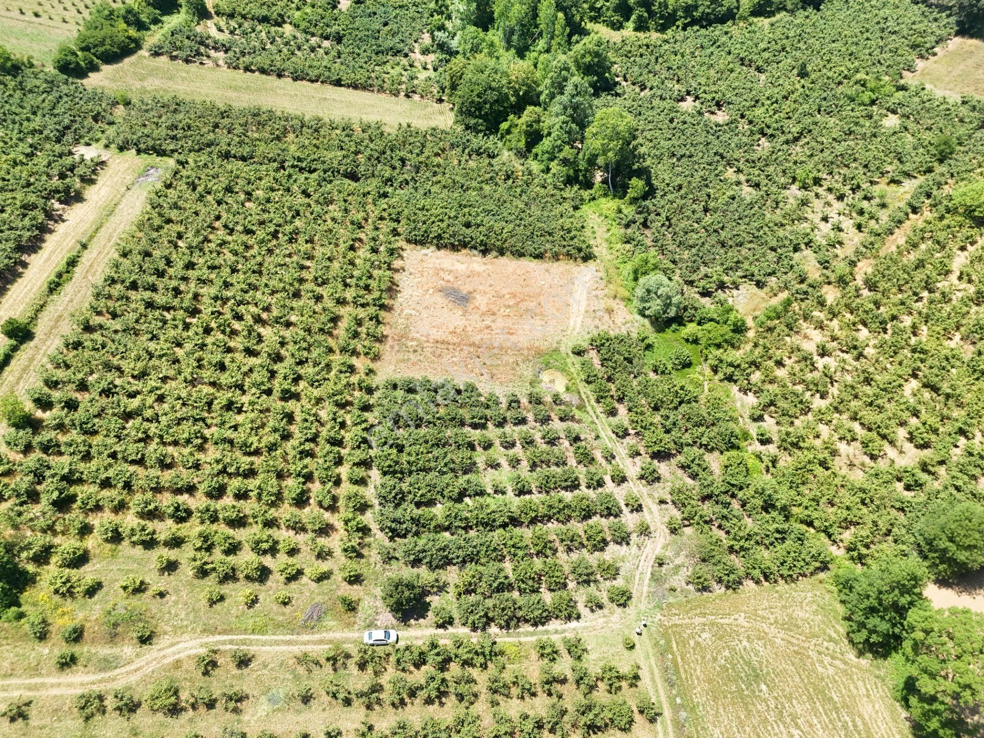 Emlak Evim - Kayacık Köyünün Yanında 350 M2 Tarla - Görsel 30