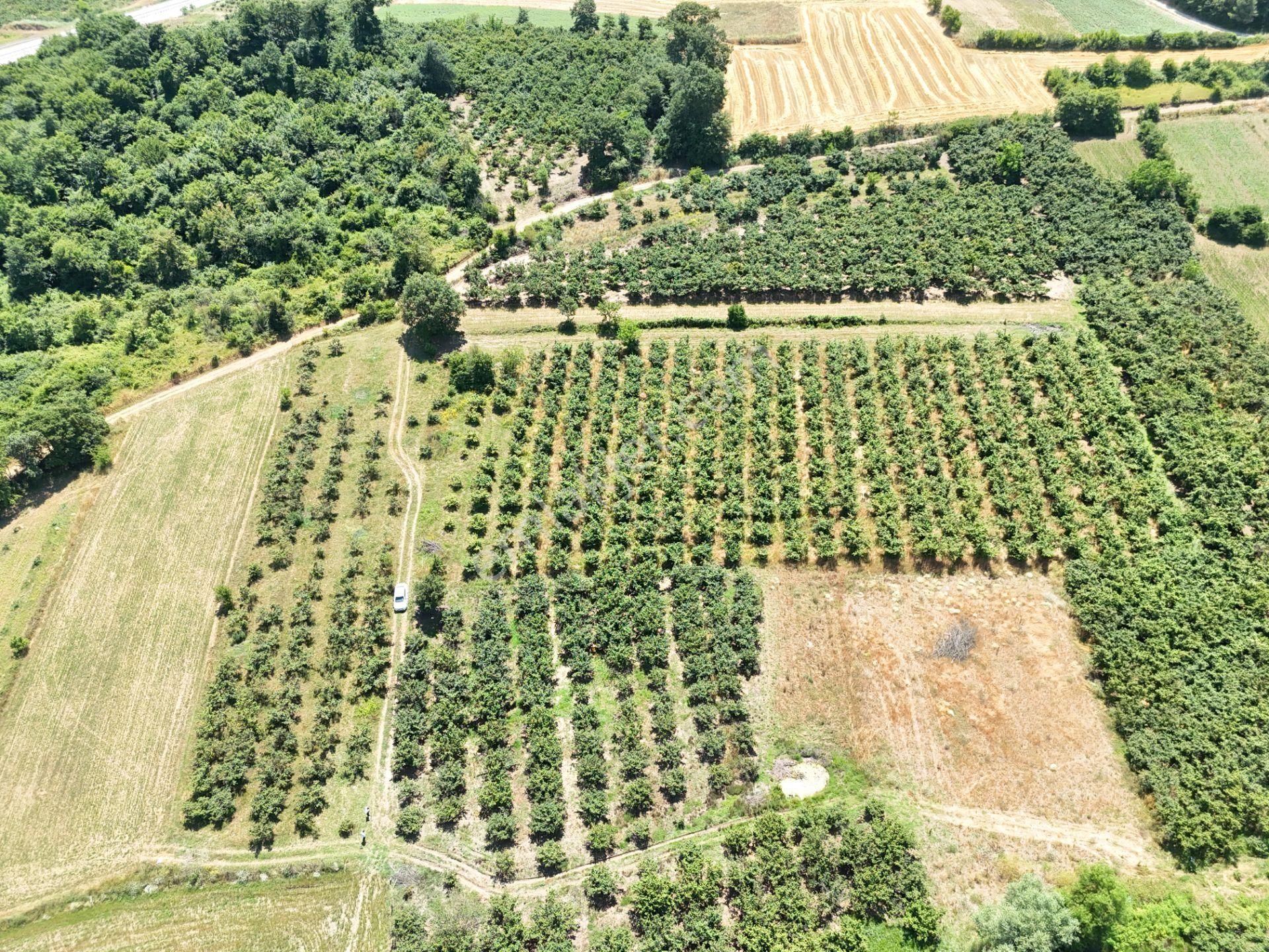 Emlak Evim - Kayacık Köyünün Yanında 350 M2 Tarla - Görsel 33