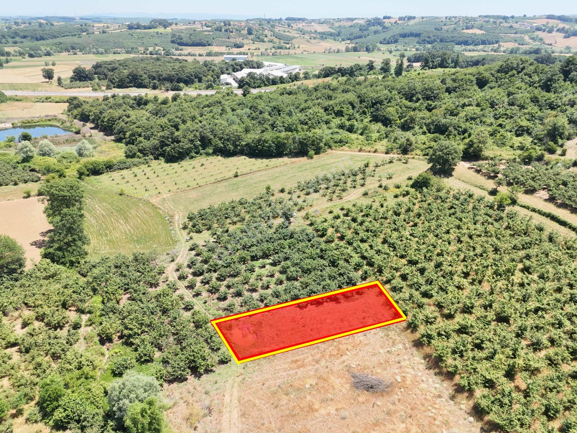 Emlak Evim - Kayacık Köyünün Yanında 350 M2 Tarla - Görsel 4