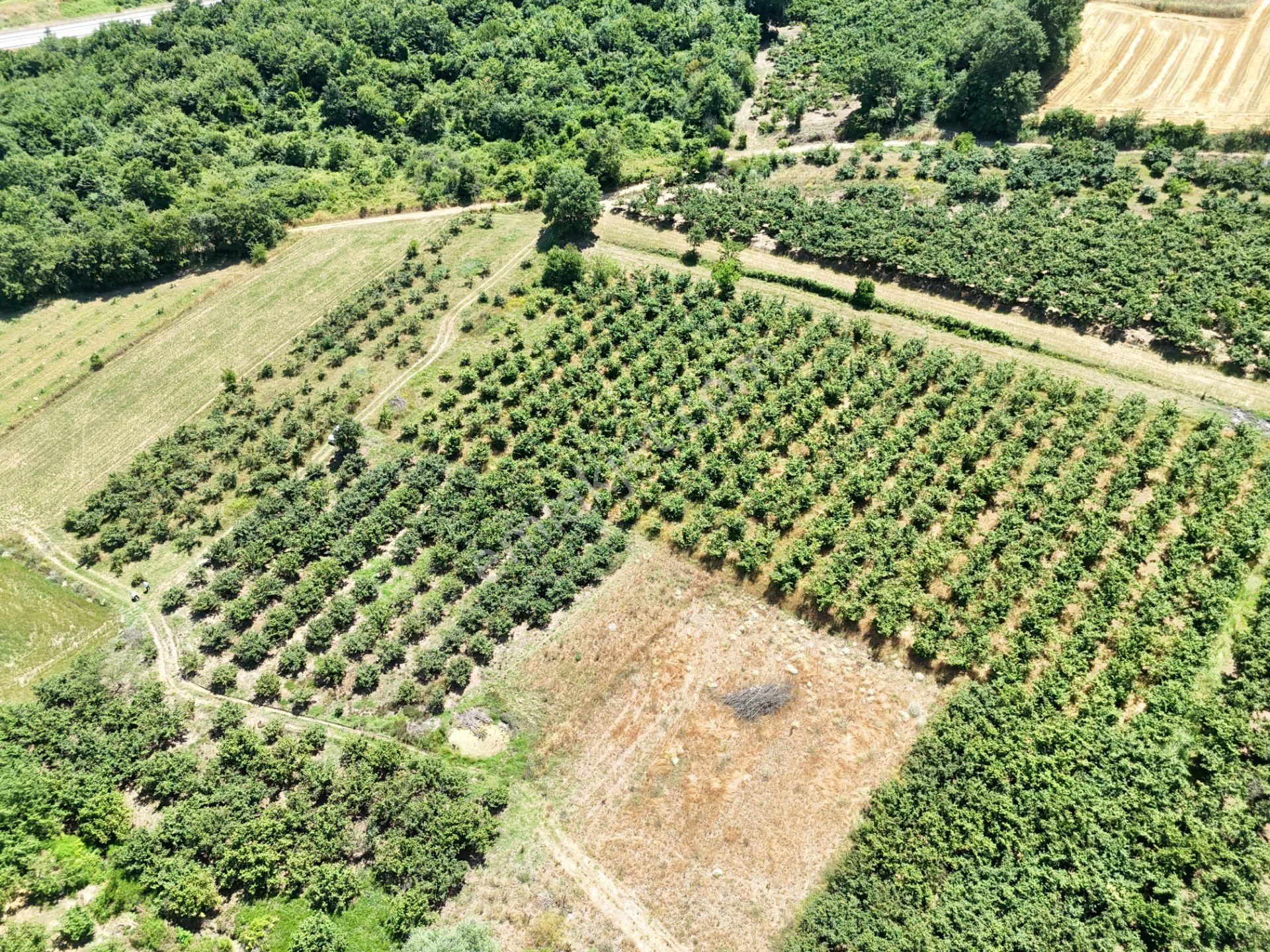 Emlak Evim - Kayacık Köyünün Yanında 350 M2 Tarla - Görsel 34