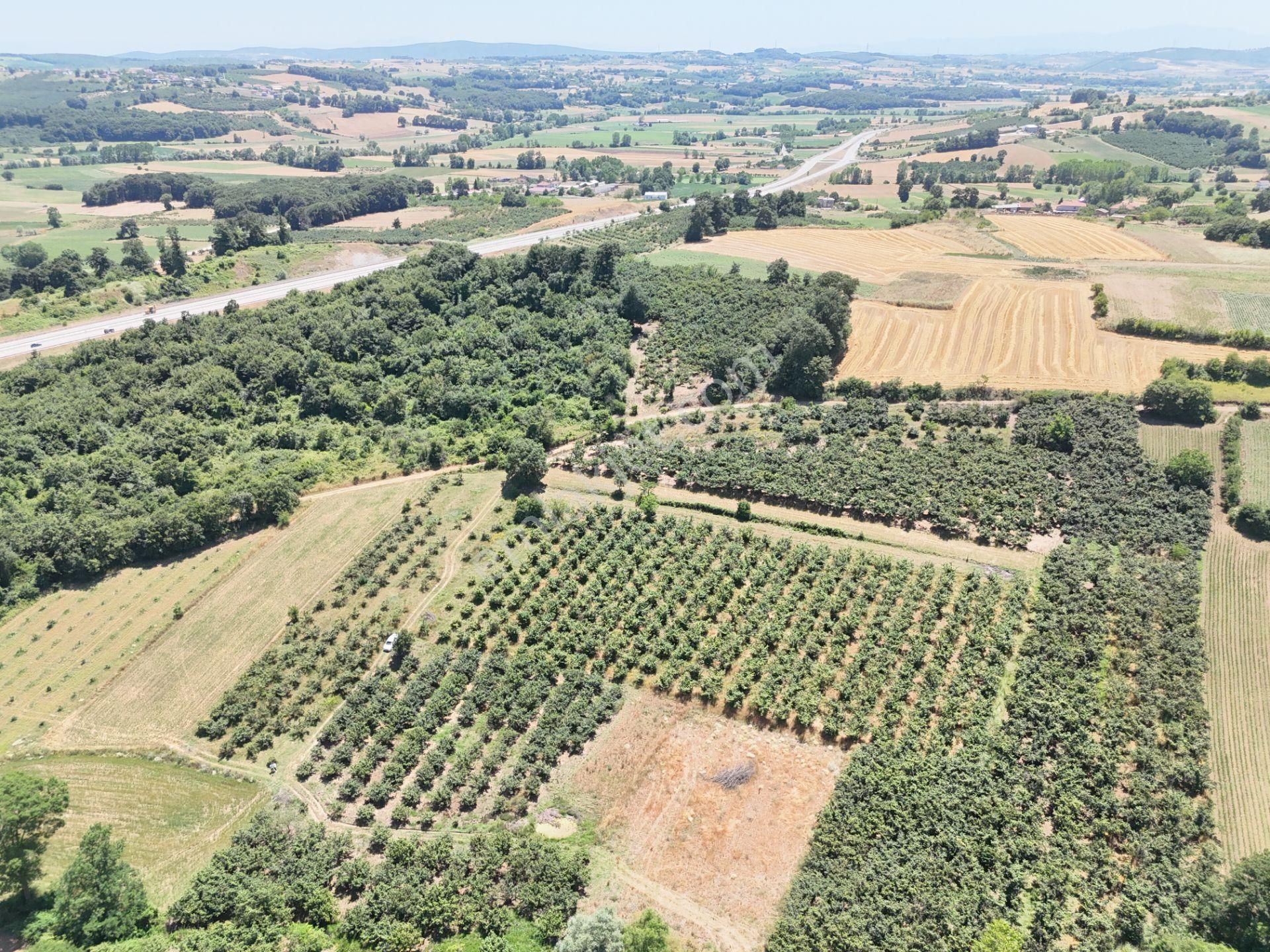 Emlak Evim - Kayacık Köyünün Yanında 350 M2 Tarla - Görsel 18