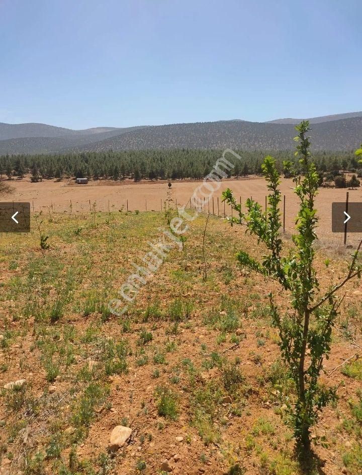 Korkuteli Sımandırda Satlık Tarla - Görsel 10