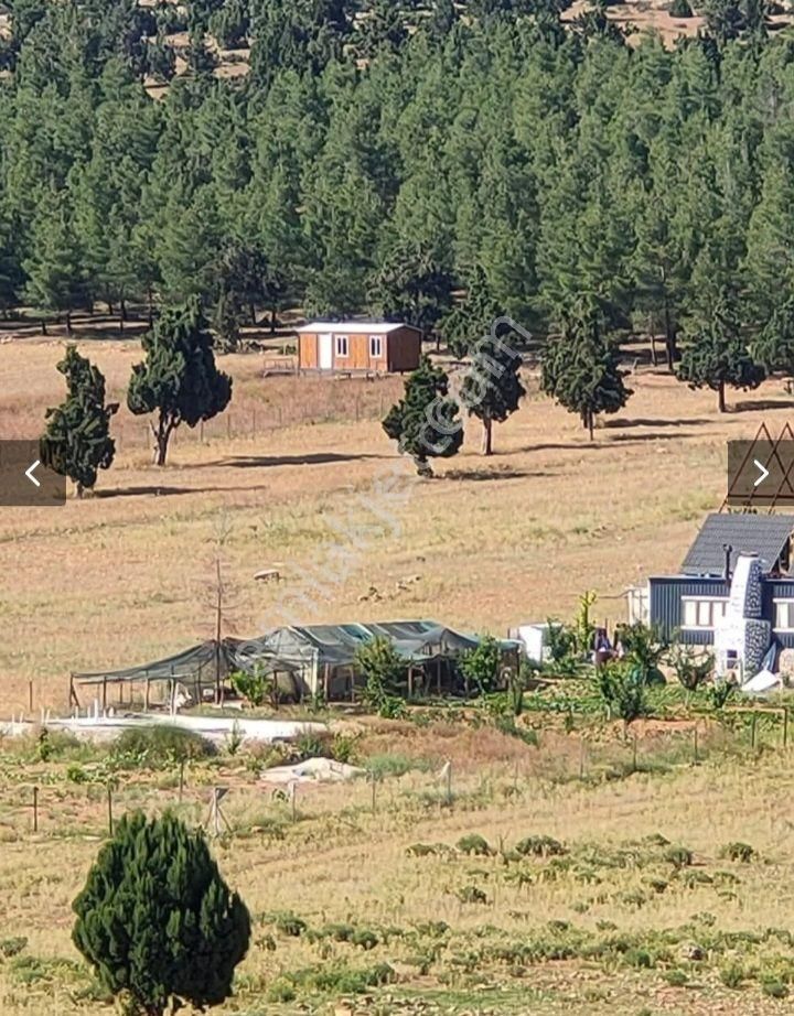 Korkuteli Sımandırda Satlık Tarla