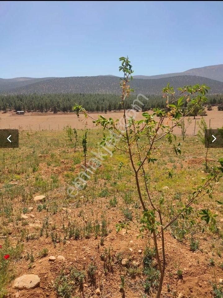 Korkuteli Sımandırda Satlık Tarla - Görsel 9