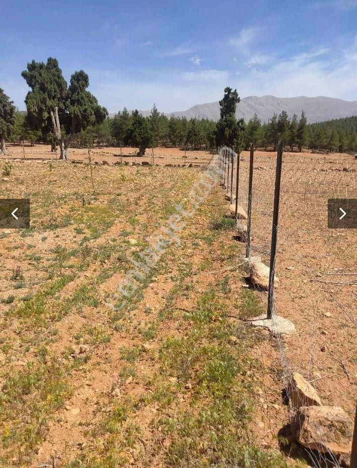 Korkuteli Sımandırda Satlık Tarla - Görsel 8