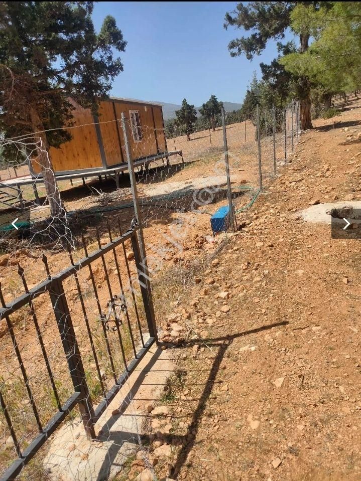 Korkuteli Sımandırda Satlık Tarla - Görsel 13