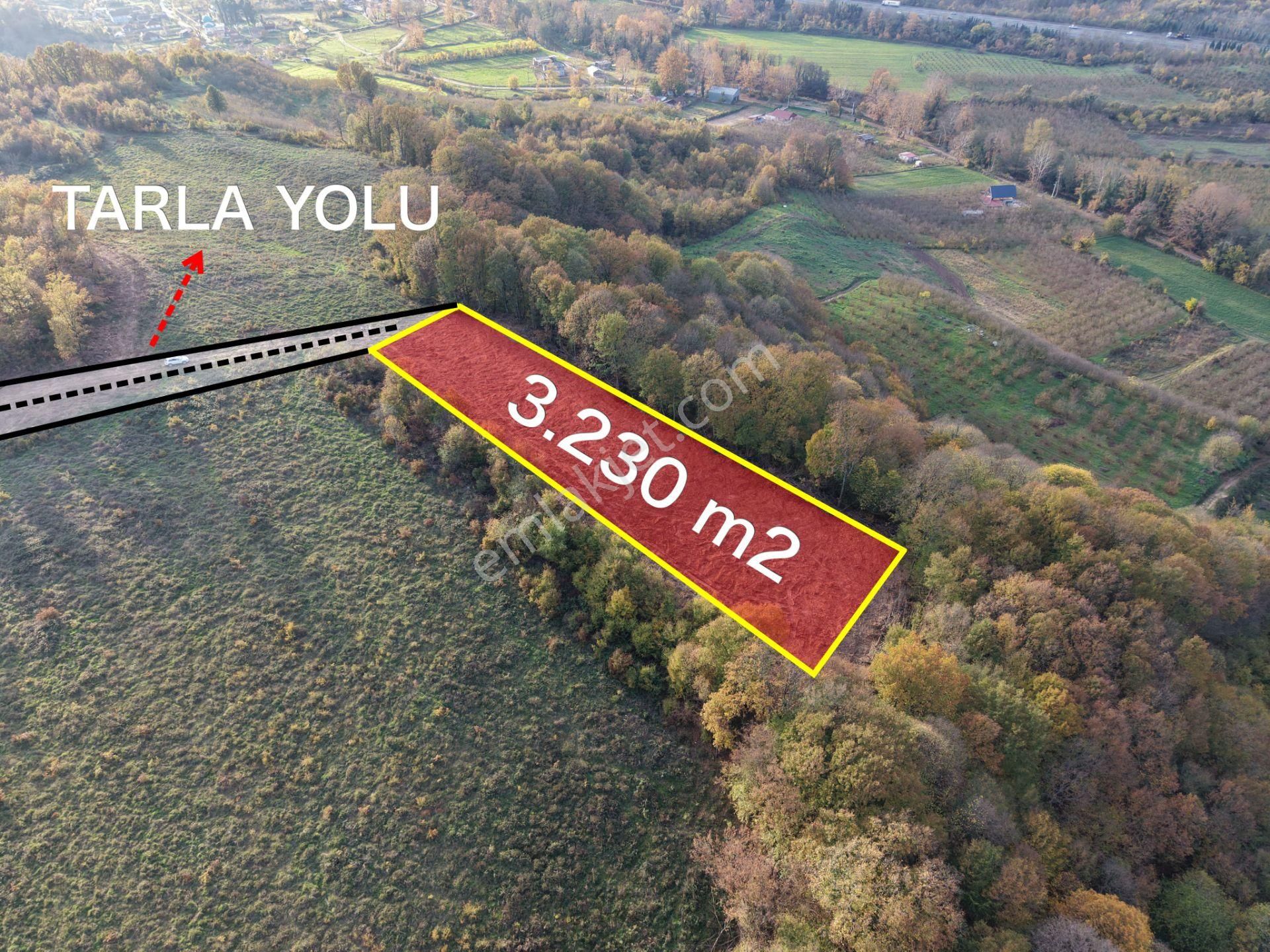 Emlak Evim - B.ihsaniye Köyü 3.230 M2 Tarla - Görsel 6