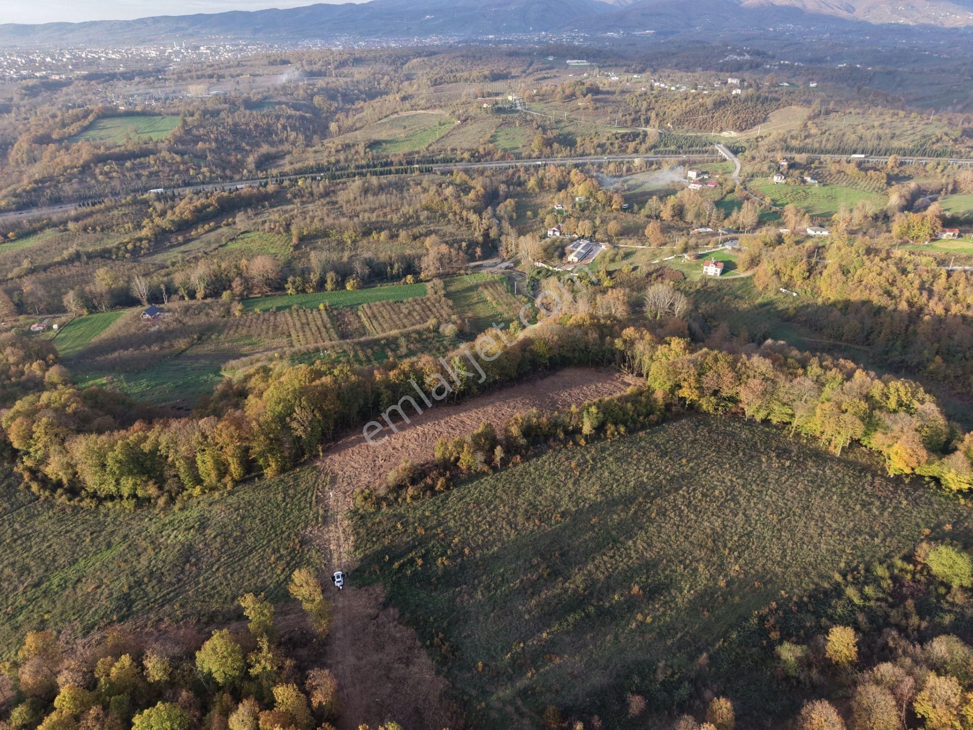 Emlak Evim - B.ihsaniye Köyü 3.230 M2 Tarla - Görsel 22