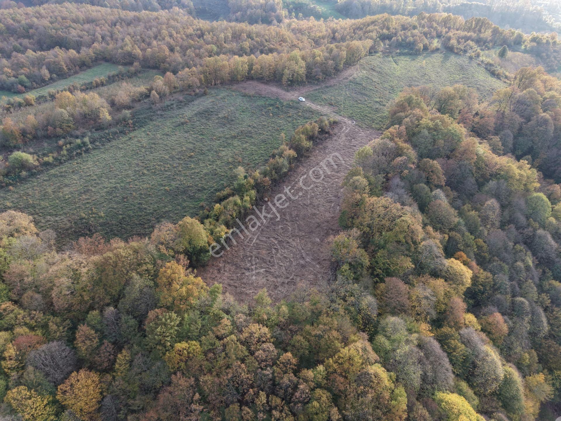 Emlak Evim - B.ihsaniye Köyü 3.230 M2 Tarla - Görsel 9