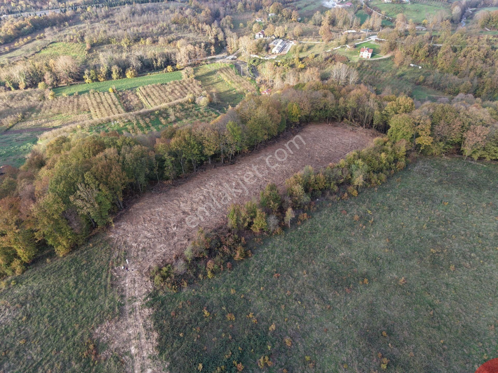 Emlak Evim - B.ihsaniye Köyü 3.230 M2 Tarla - Görsel 15