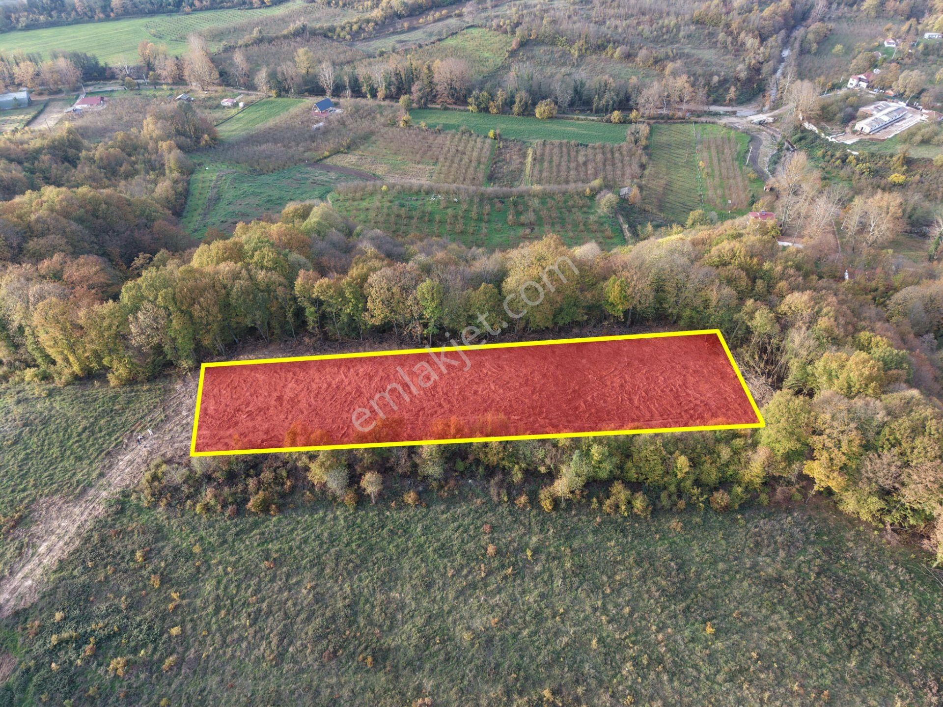 Emlak Evim - B.ihsaniye Köyü 3.230 M2 Tarla - Görsel 4