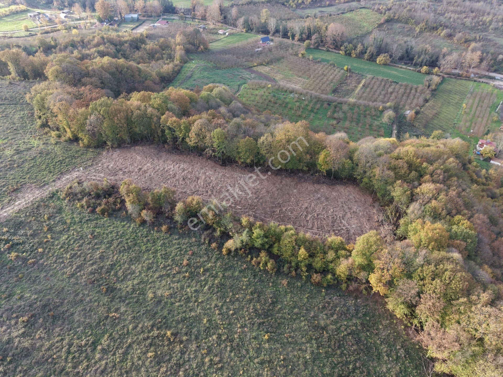 Emlak Evim - B.ihsaniye Köyü 3.230 M2 Tarla - Görsel 5