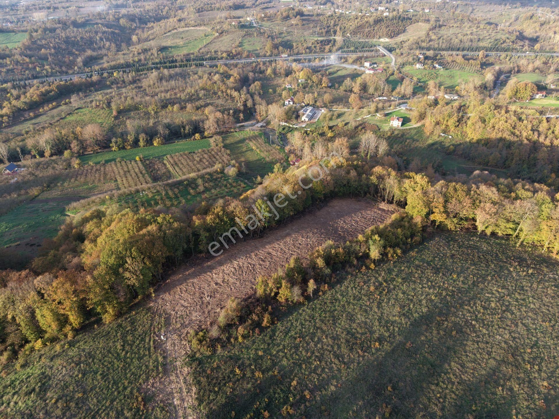 Emlak Evim - B.ihsaniye Köyü 3.230 M2 Tarla - Görsel 26