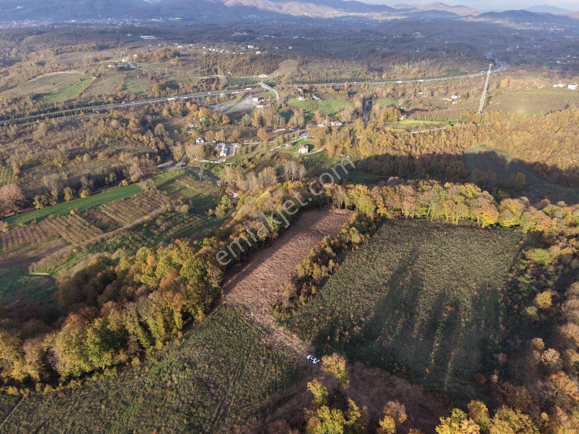 Emlak Evim - B.ihsaniye Köyü 3.230 M2 Tarla - Görsel 20