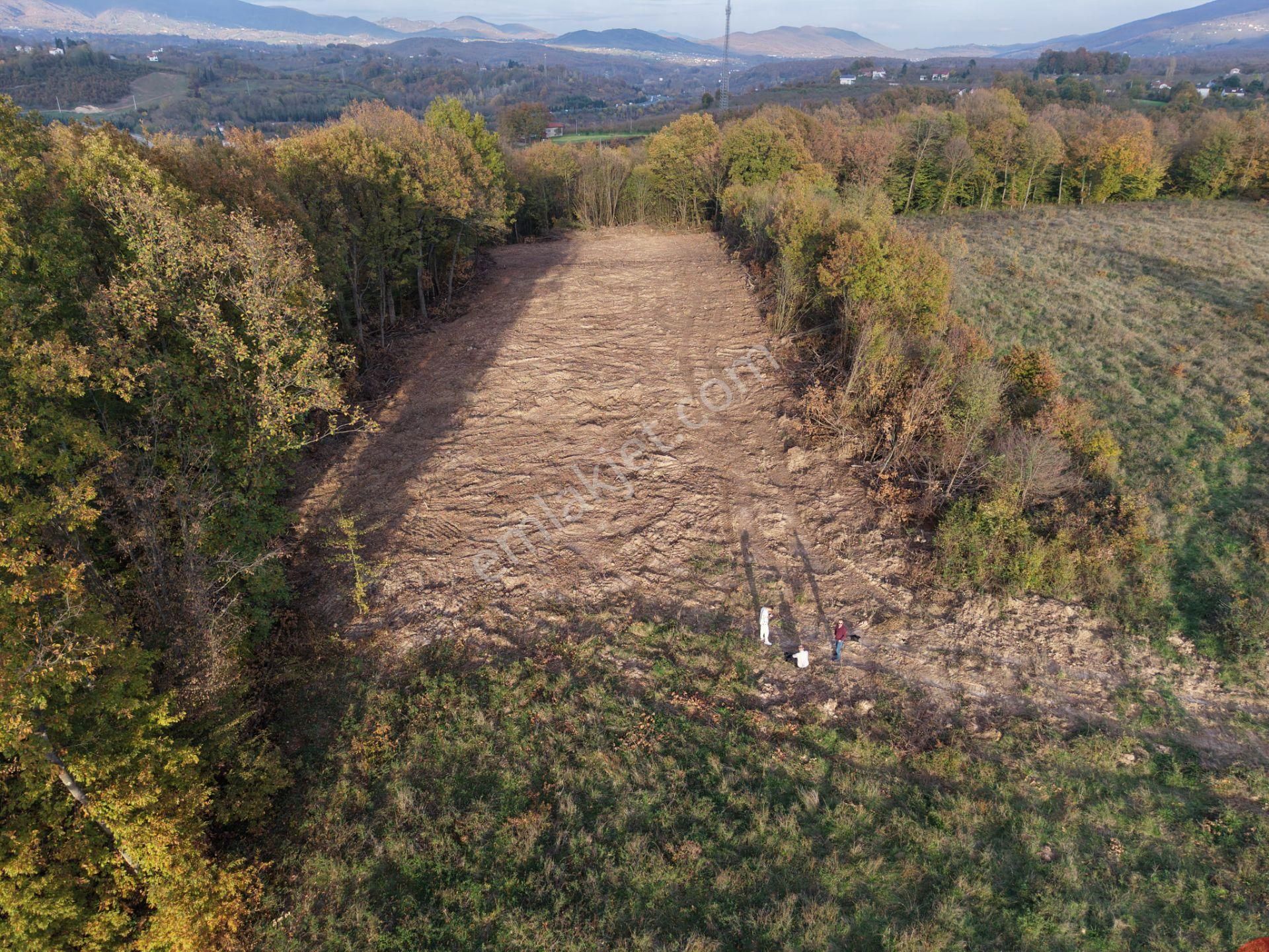 Emlak Evim - B.ihsaniye Köyü 3.230 M2 Tarla - Görsel 18