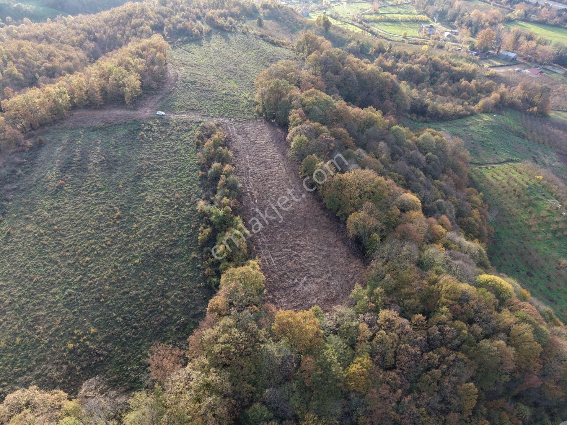 Emlak Evim - B.ihsaniye Köyü 3.230 M2 Tarla - Görsel 7