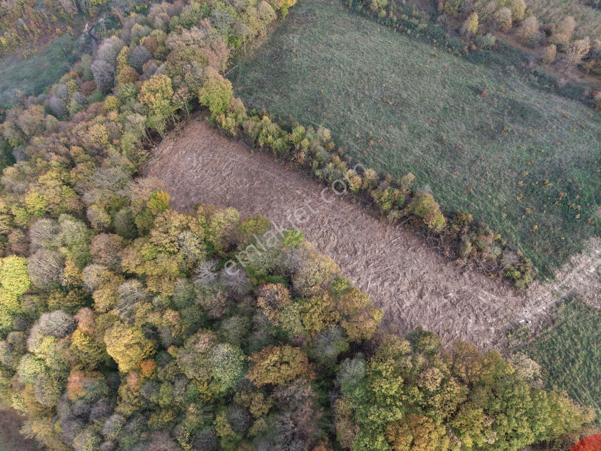 Emlak Evim - B.ihsaniye Köyü 3.230 M2 Tarla - Görsel 11