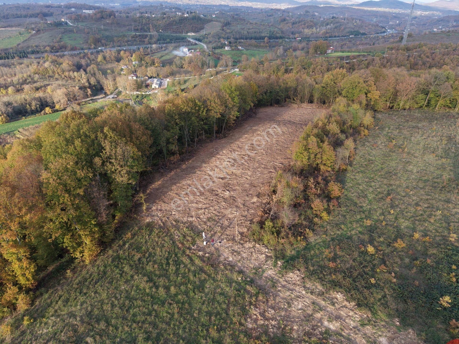 Emlak Evim - B.ihsaniye Köyü 3.230 M2 Tarla - Görsel 17