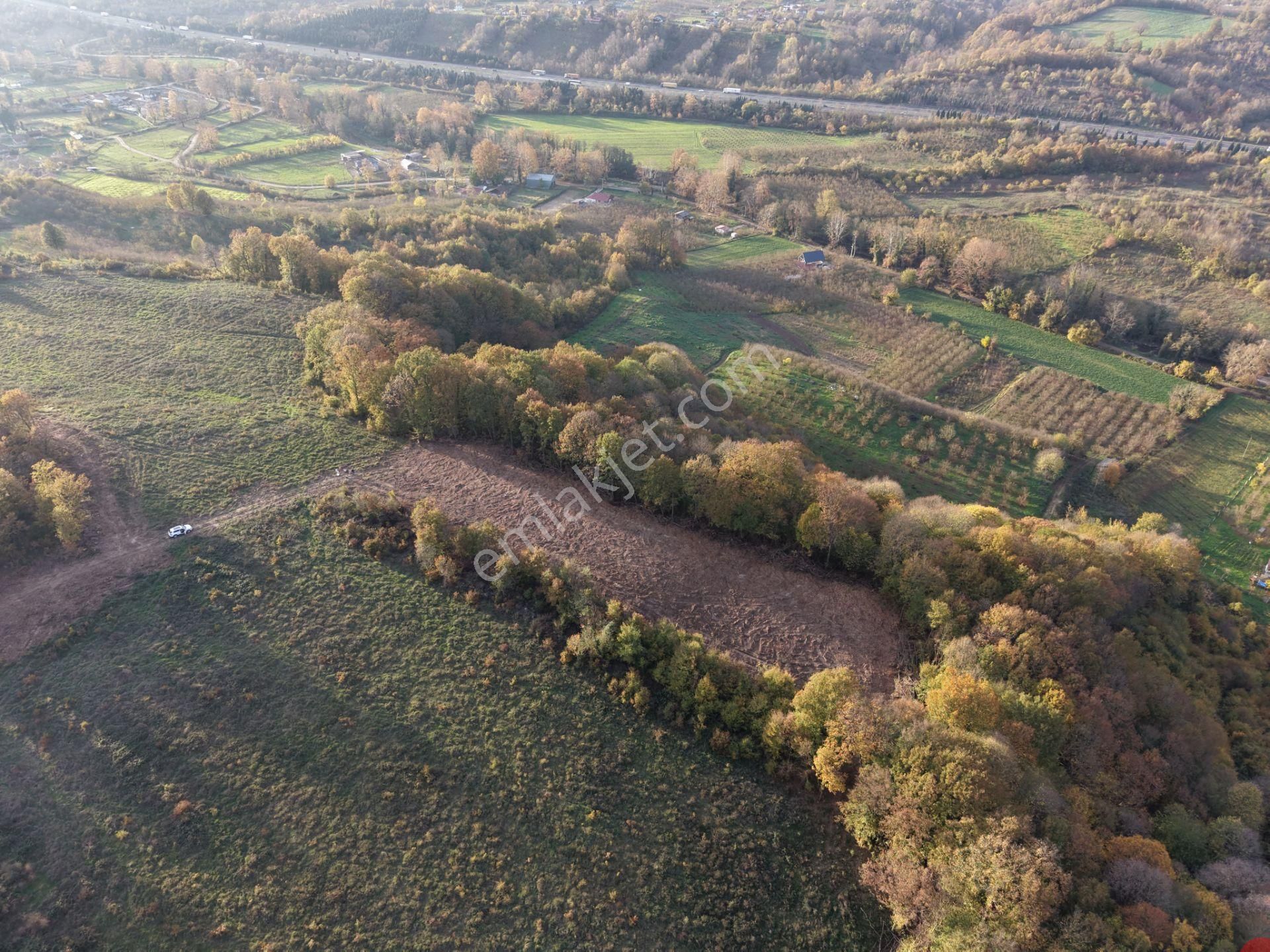 Emlak Evim - B.ihsaniye Köyü 3.230 M2 Tarla - Görsel 24