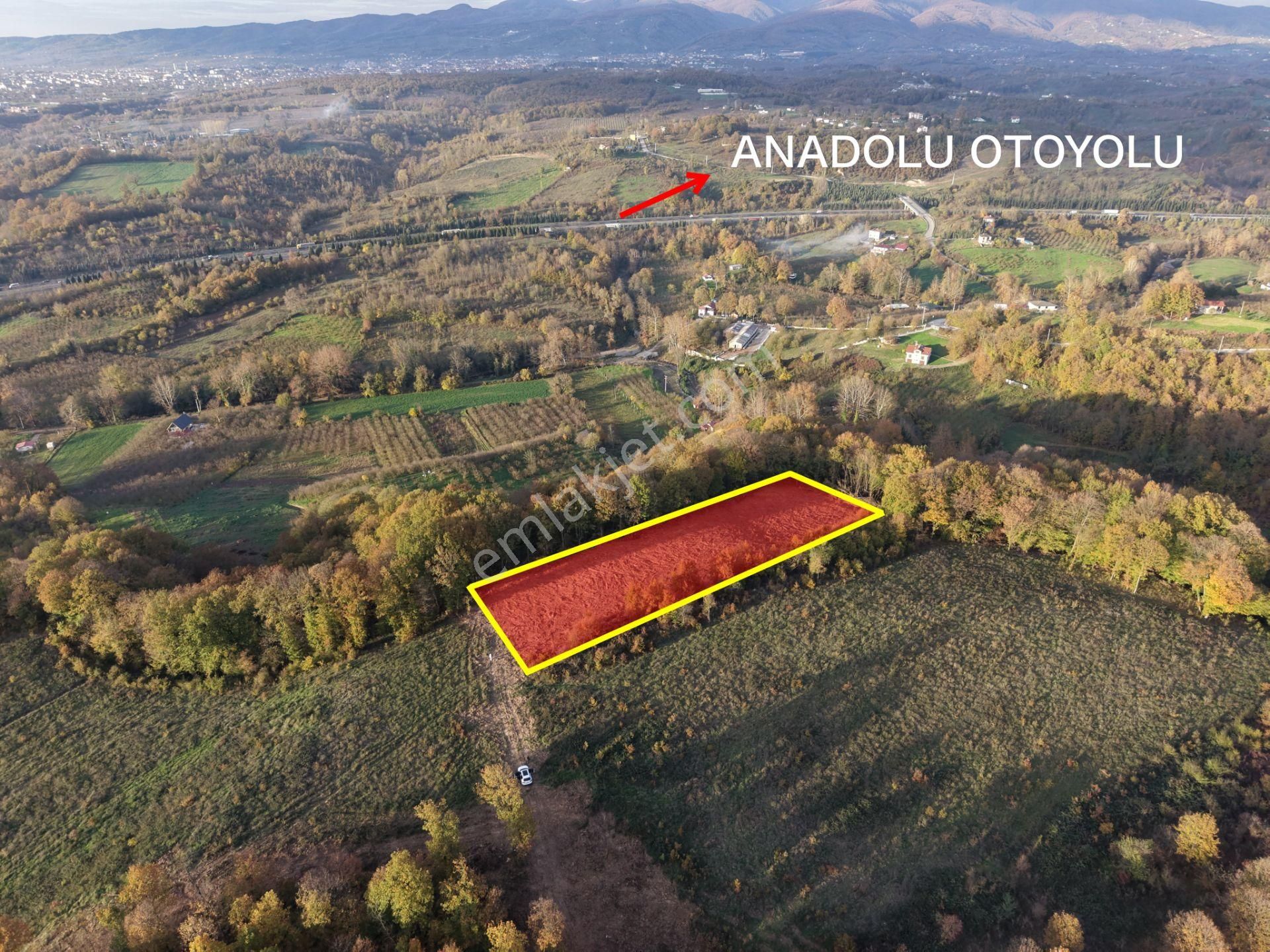 Emlak Evim - B.ihsaniye Köyü 3.230 M2 Tarla - Görsel 19