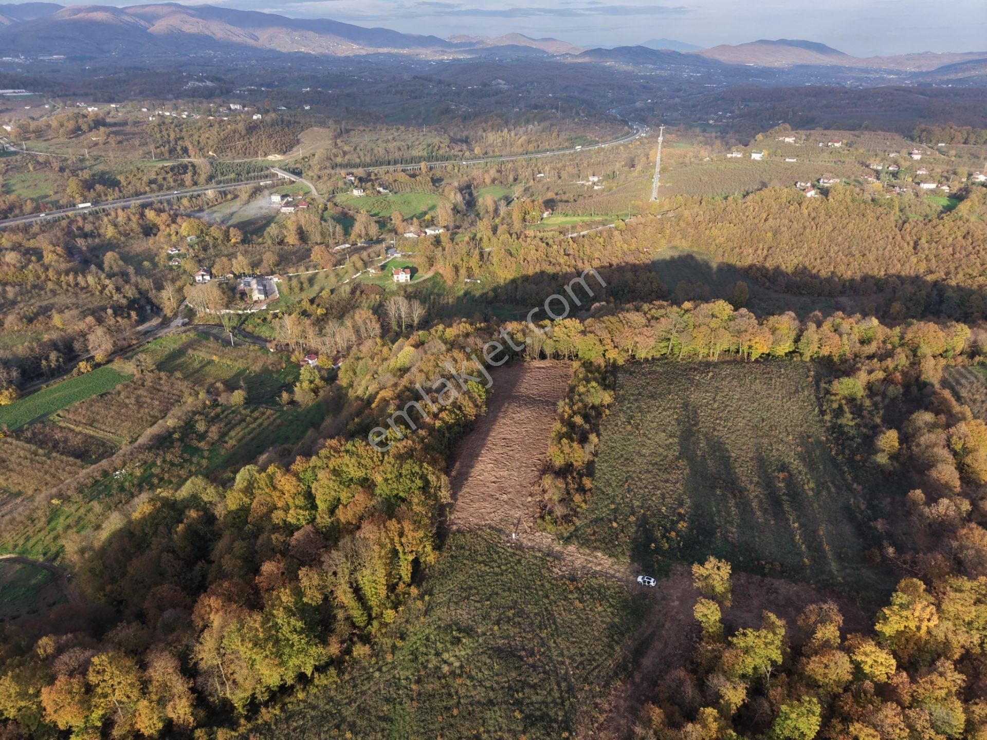 Emlak Evim - B.ihsaniye Köyü 3.230 M2 Tarla - Görsel 21