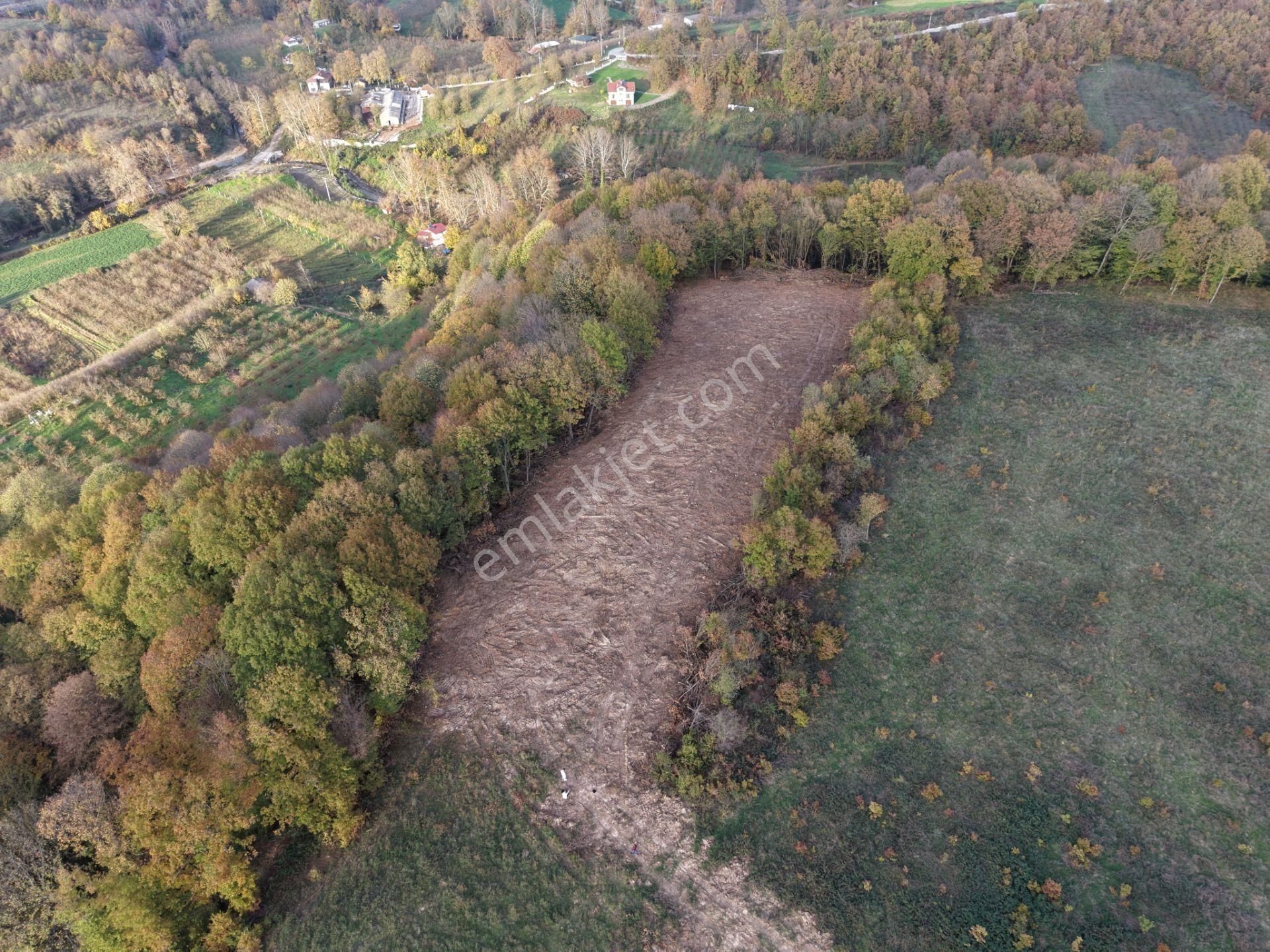 Emlak Evim - B.ihsaniye Köyü 3.230 M2 Tarla - Görsel 13