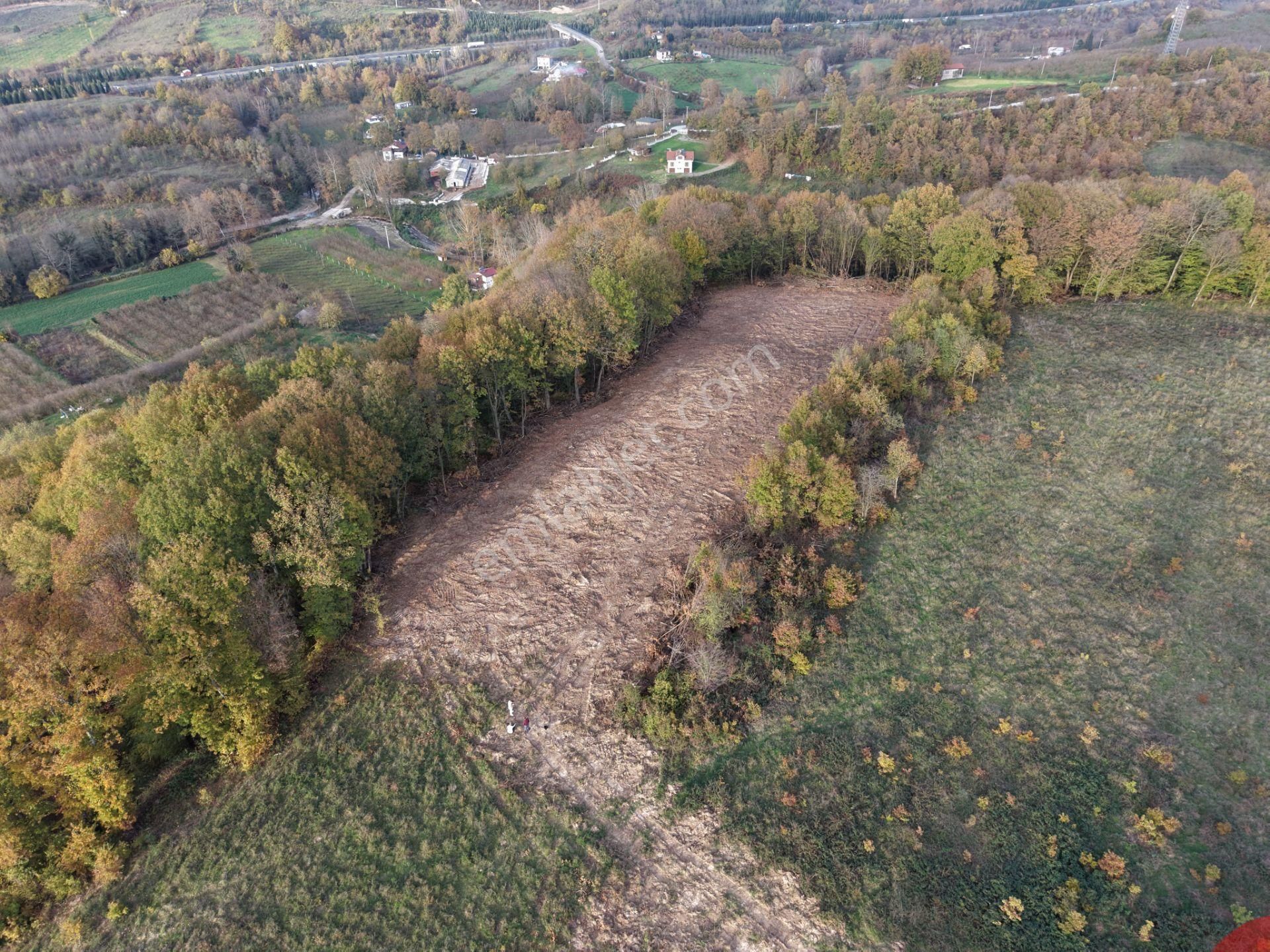 Emlak Evim - B.ihsaniye Köyü 3.230 M2 Tarla - Görsel 3