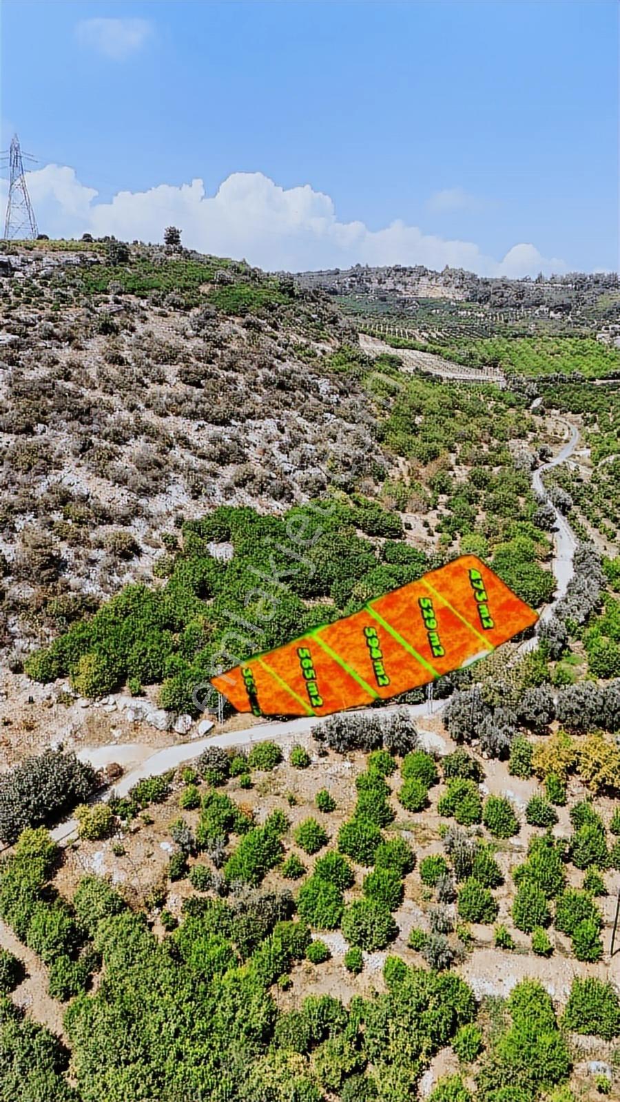 Thor'dan Satılık Erdemli Çiftepınarda 363m2 Deniz Manzaralı Arsa - Görsel 12