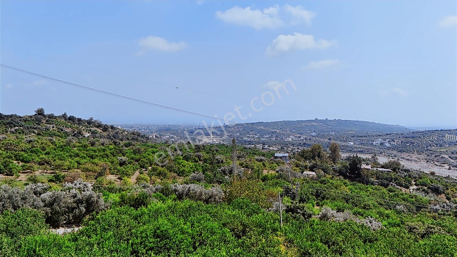 Thor'dan Satılık Erdemli Çiftepınarda 363m2 Deniz Manzaralı Arsa - Görsel 30