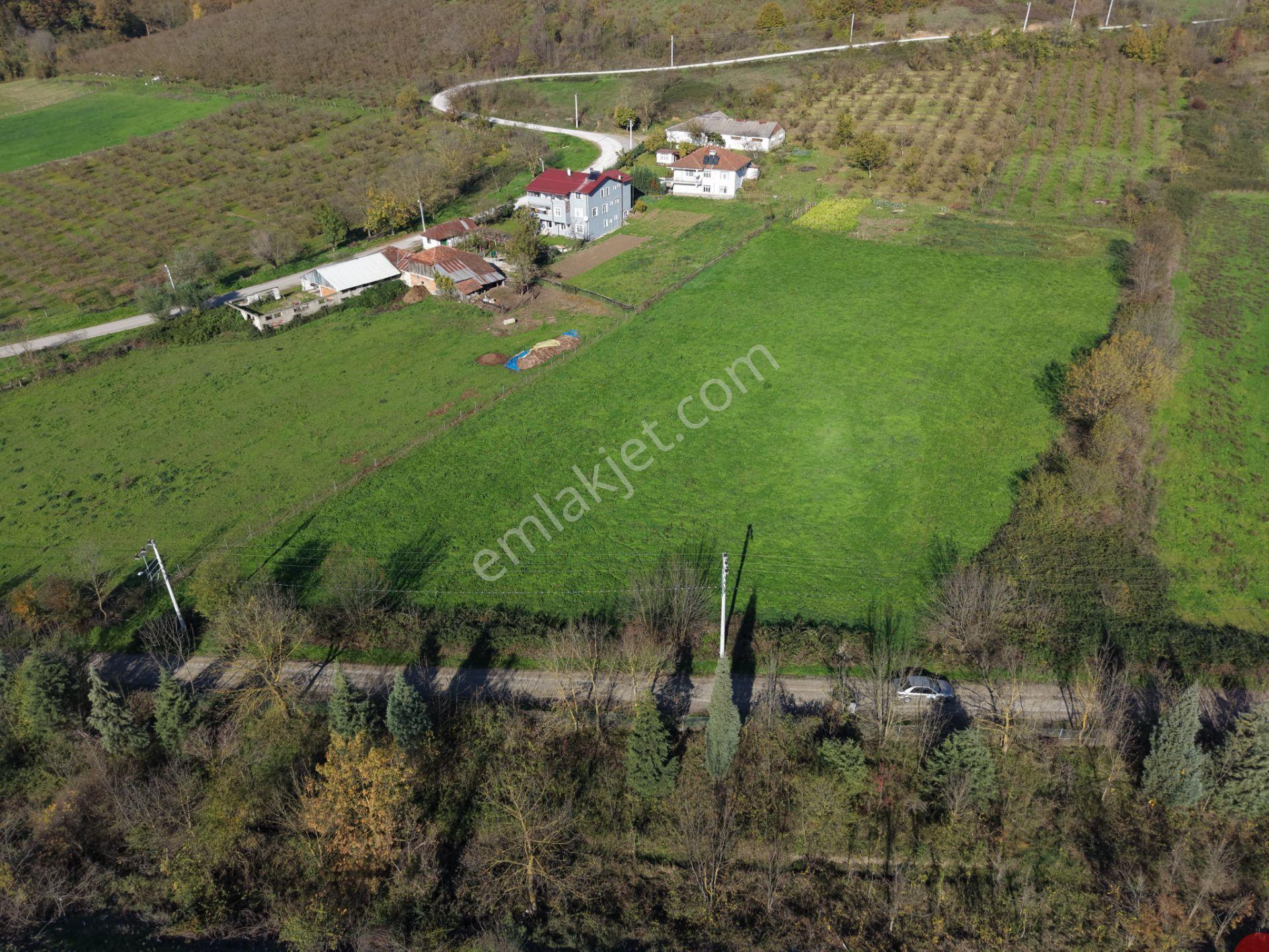 Emlak Evim - Yeşilvadi Köyünde 2.450 M2 İmarlı Arsa - Görsel 2