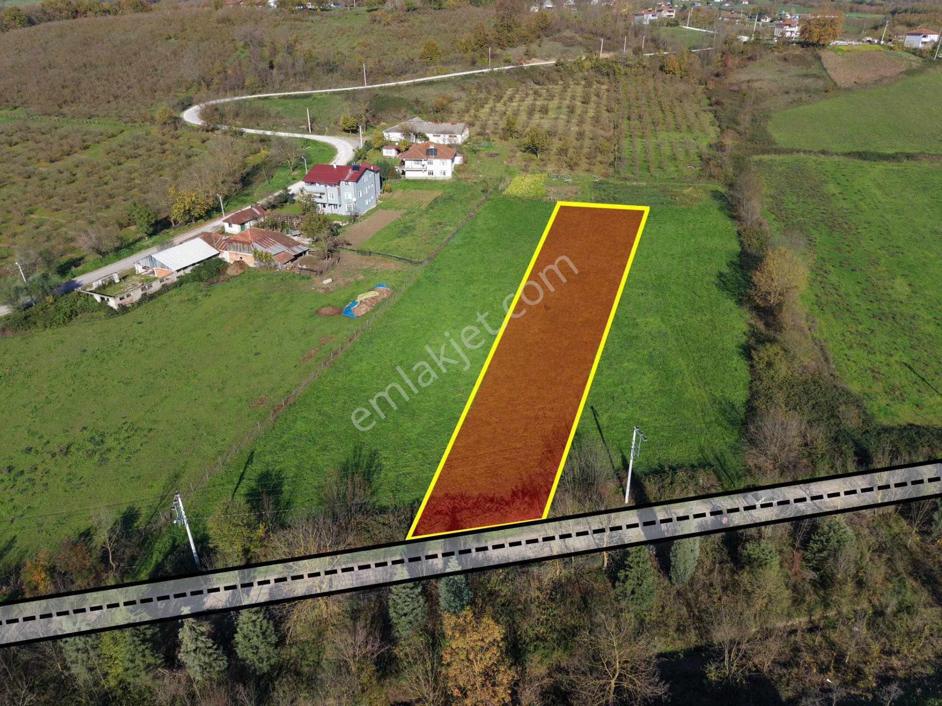 Emlak Evim - Yeşilvadi Köyünde 2.450 M2 İmarlı Arsa - Görsel 3