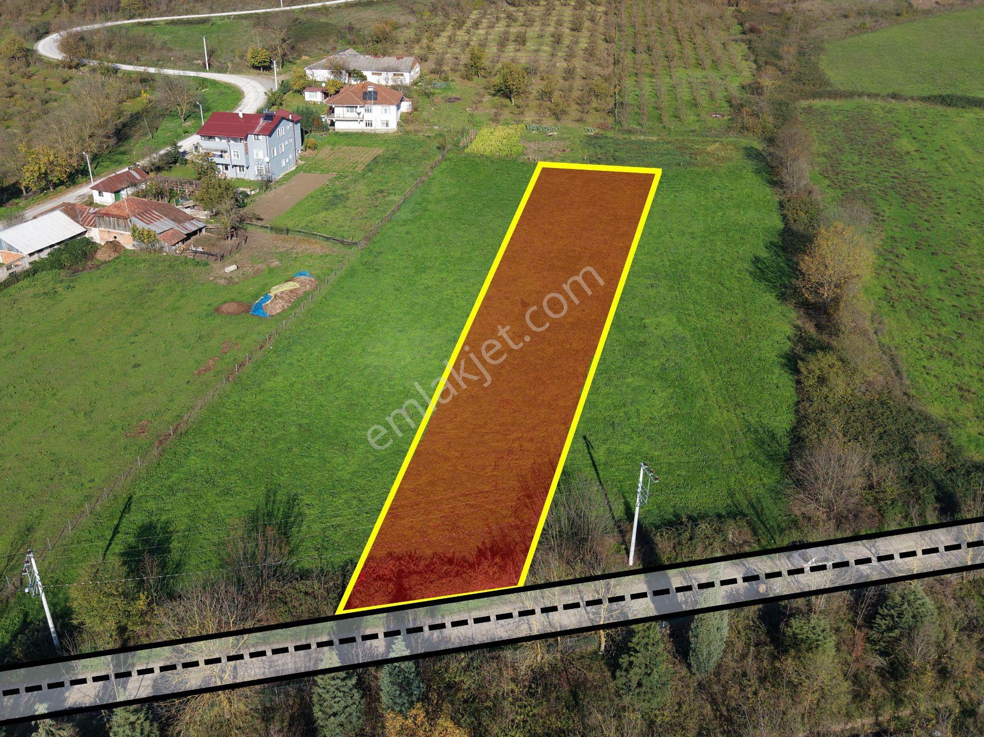 Emlak Evim - Yeşilvadi Köyünde 2.450 M2 İmarlı Arsa