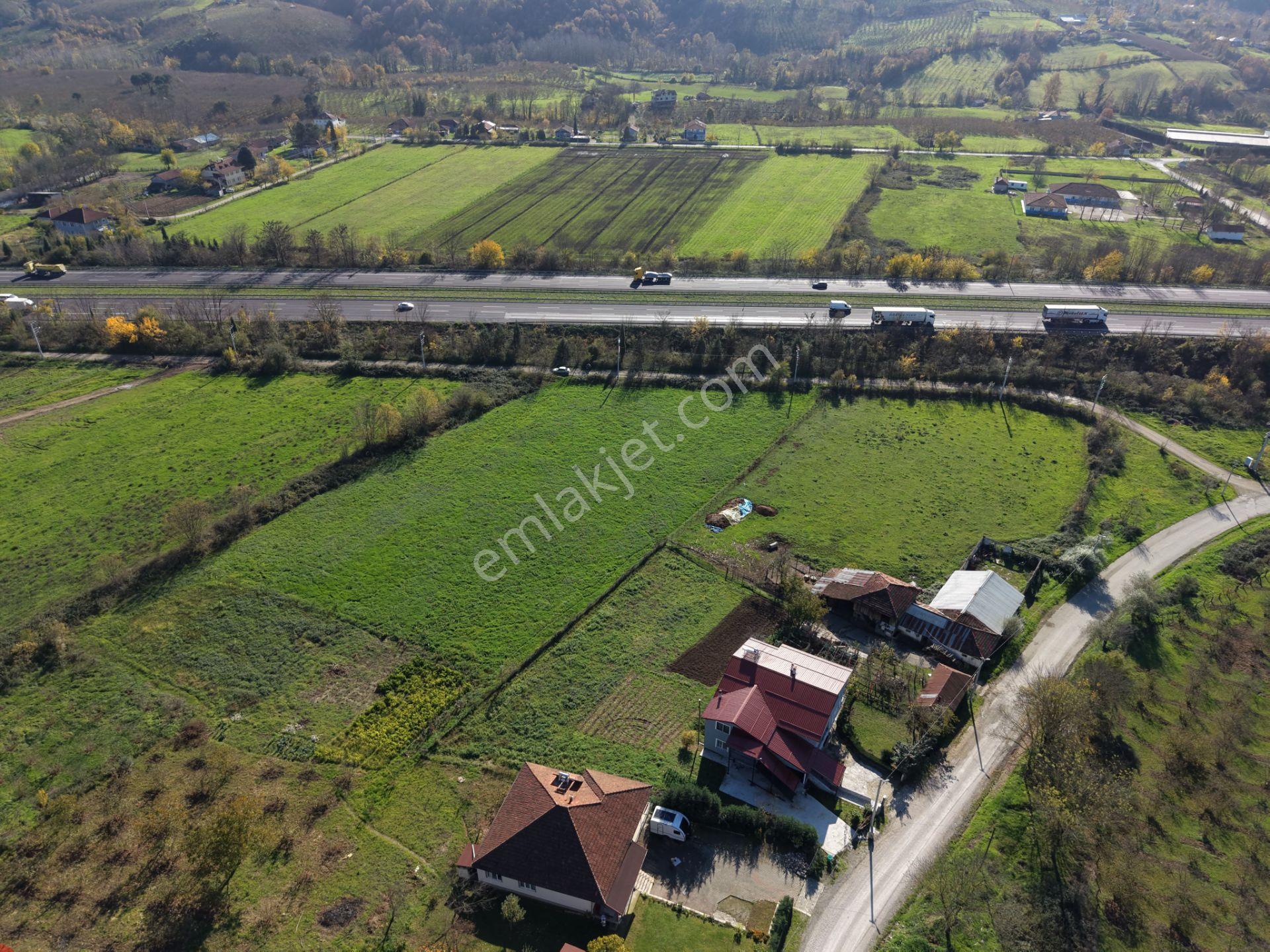 Emlak Evim - Yeşilvadi Köyünde 2.450 M2 İmarlı Arsa - Görsel 15