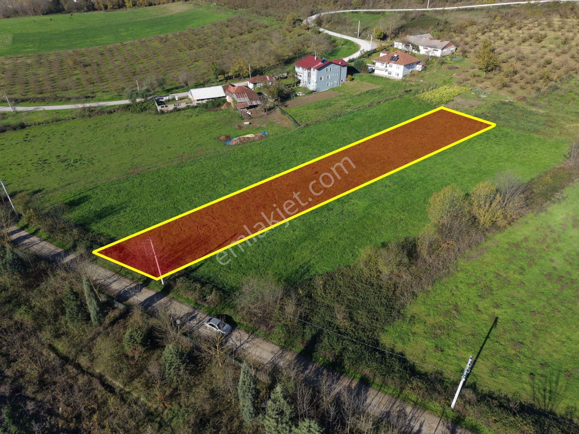 Emlak Evim - Yeşilvadi Köyünde 2.450 M2 İmarlı Arsa - Görsel 5