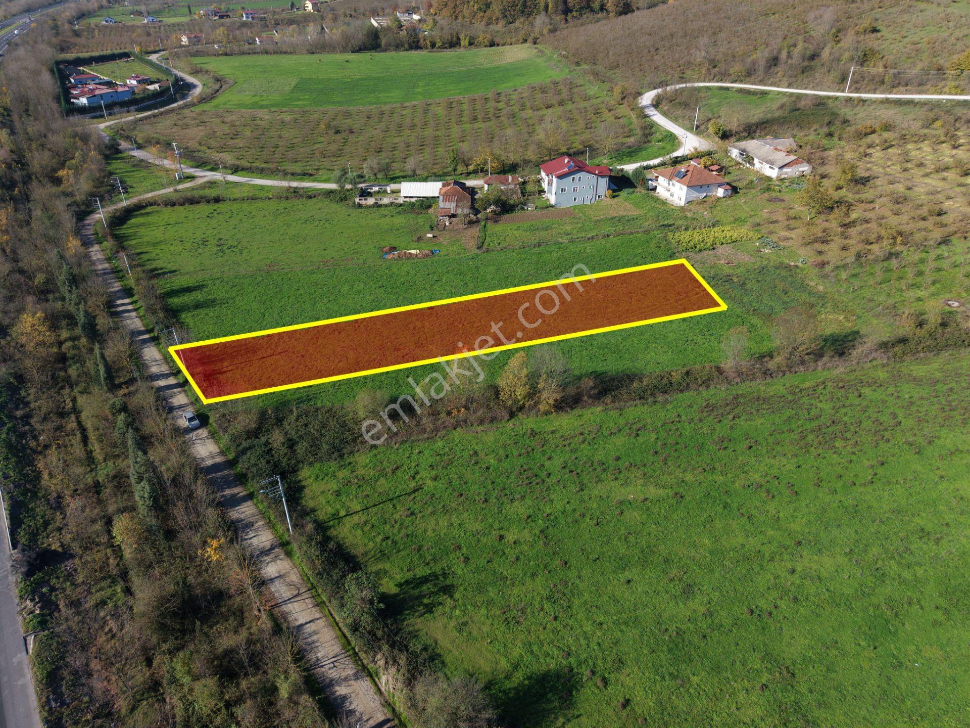Emlak Evim - Yeşilvadi Köyünde 2.450 M2 İmarlı Arsa - Görsel 7