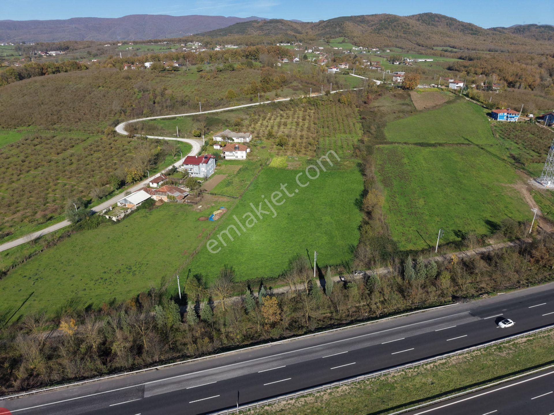 Emlak Evim - Yeşilvadi Köyünde 2.450 M2 İmarlı Arsa - Görsel 23