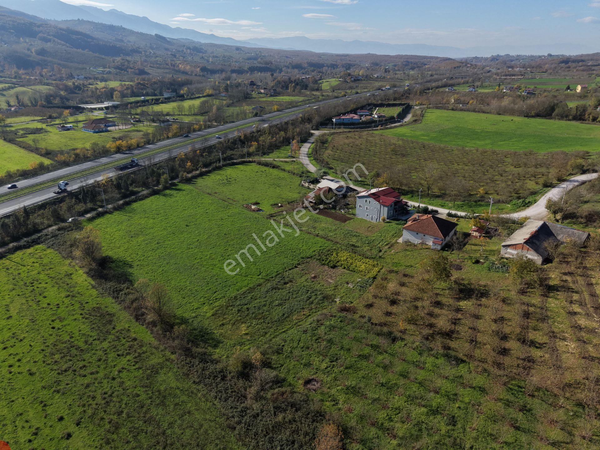 Emlak Evim - Yeşilvadi Köyünde 2.450 M2 İmarlı Arsa - Görsel 11